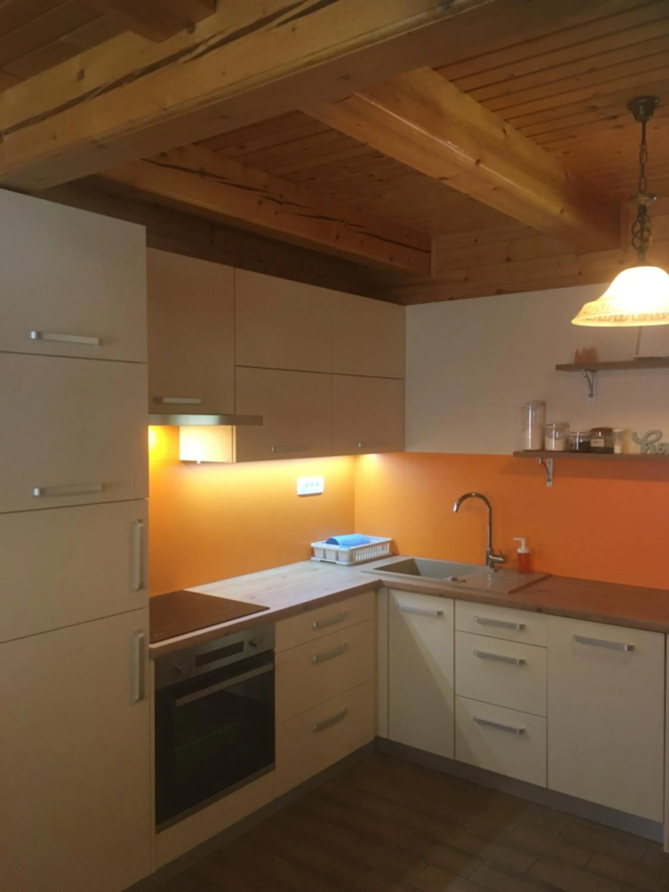 pet friendly in Korošec Apartments and Wellness Centre