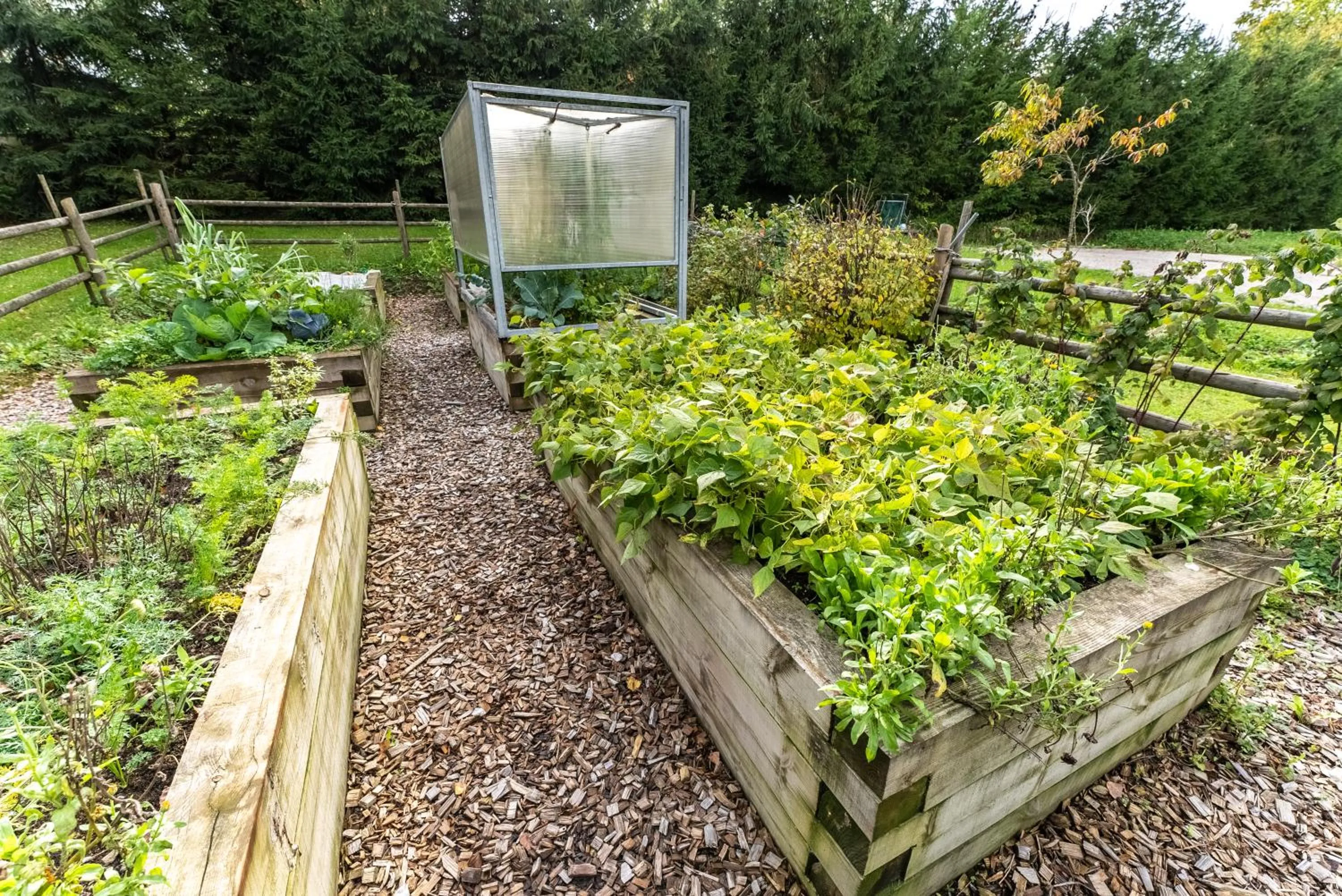 Garden in Korošec Apartments and Wellness Centre