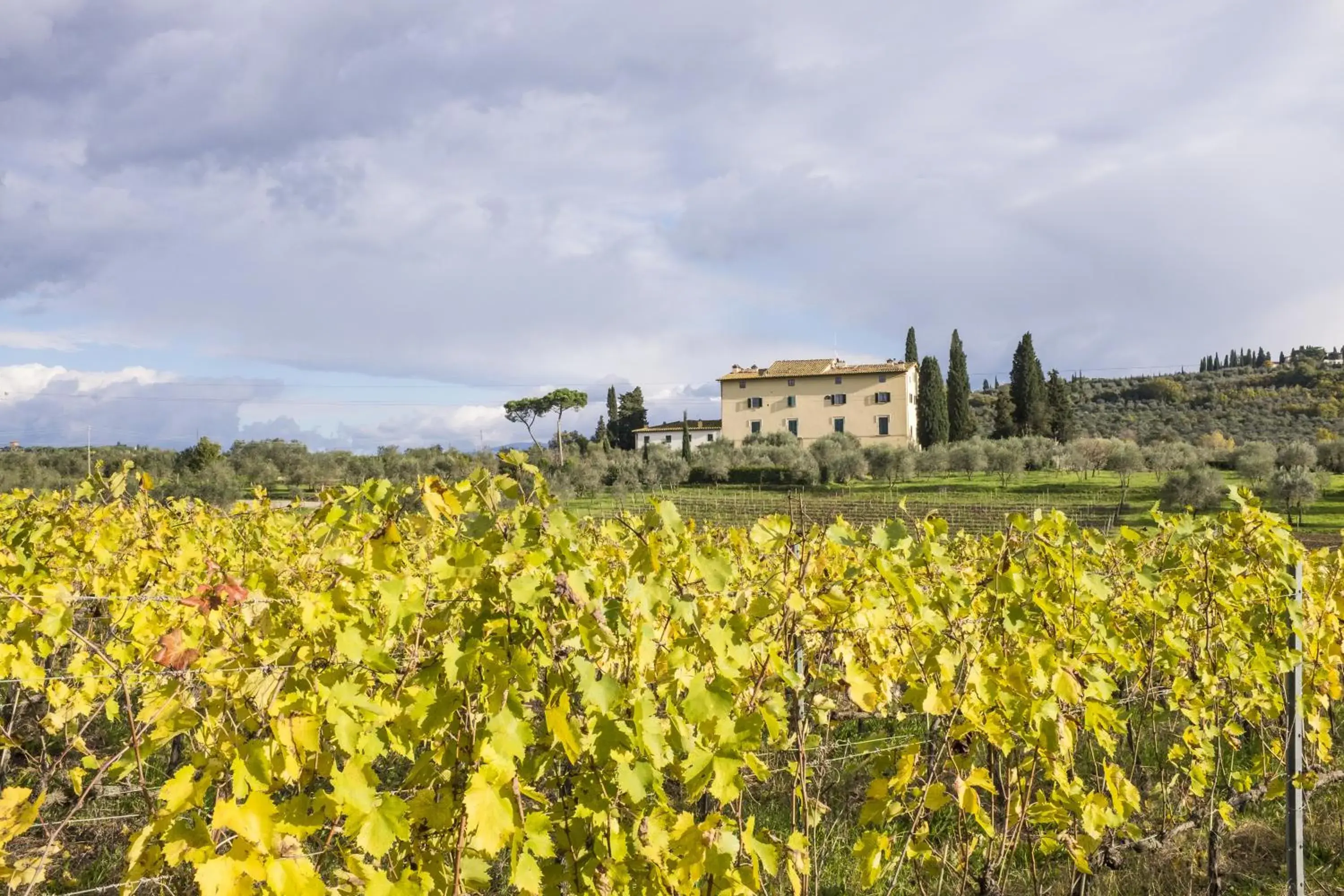 La Capannaccia La Capannaccia