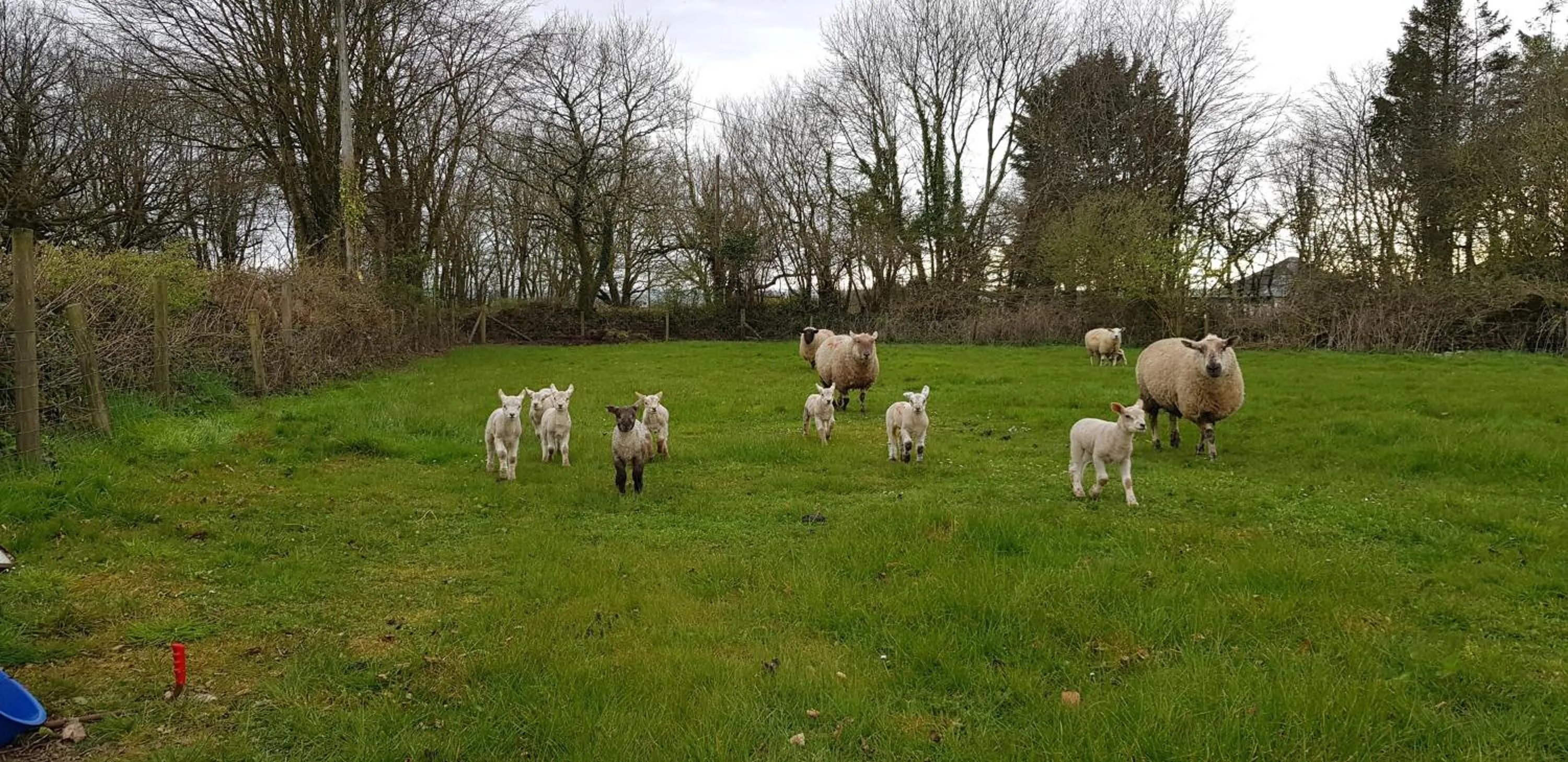 Natural landscape in Ebberley Escapes