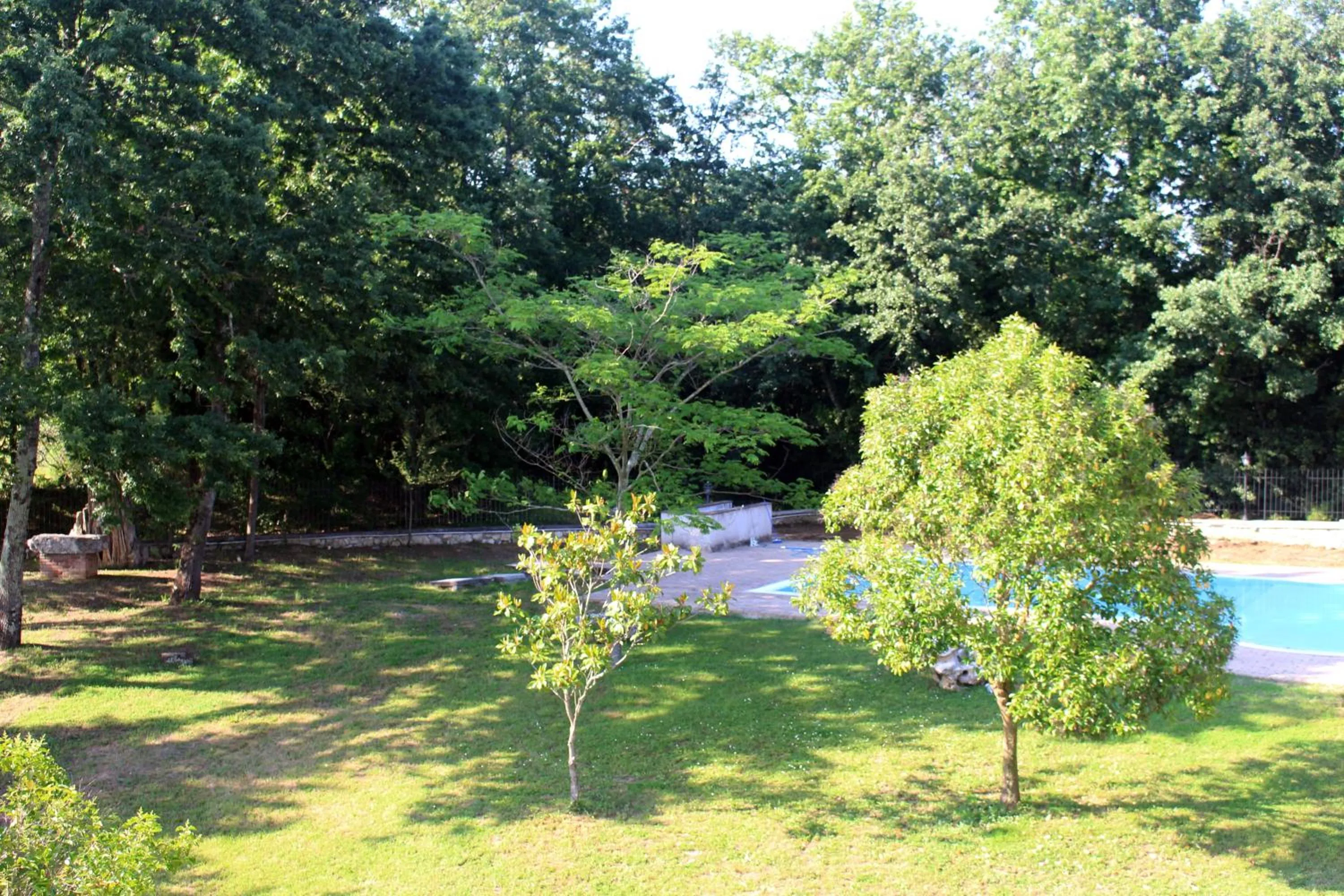 Natural landscape, Garden in Il Podere San Giuseppe