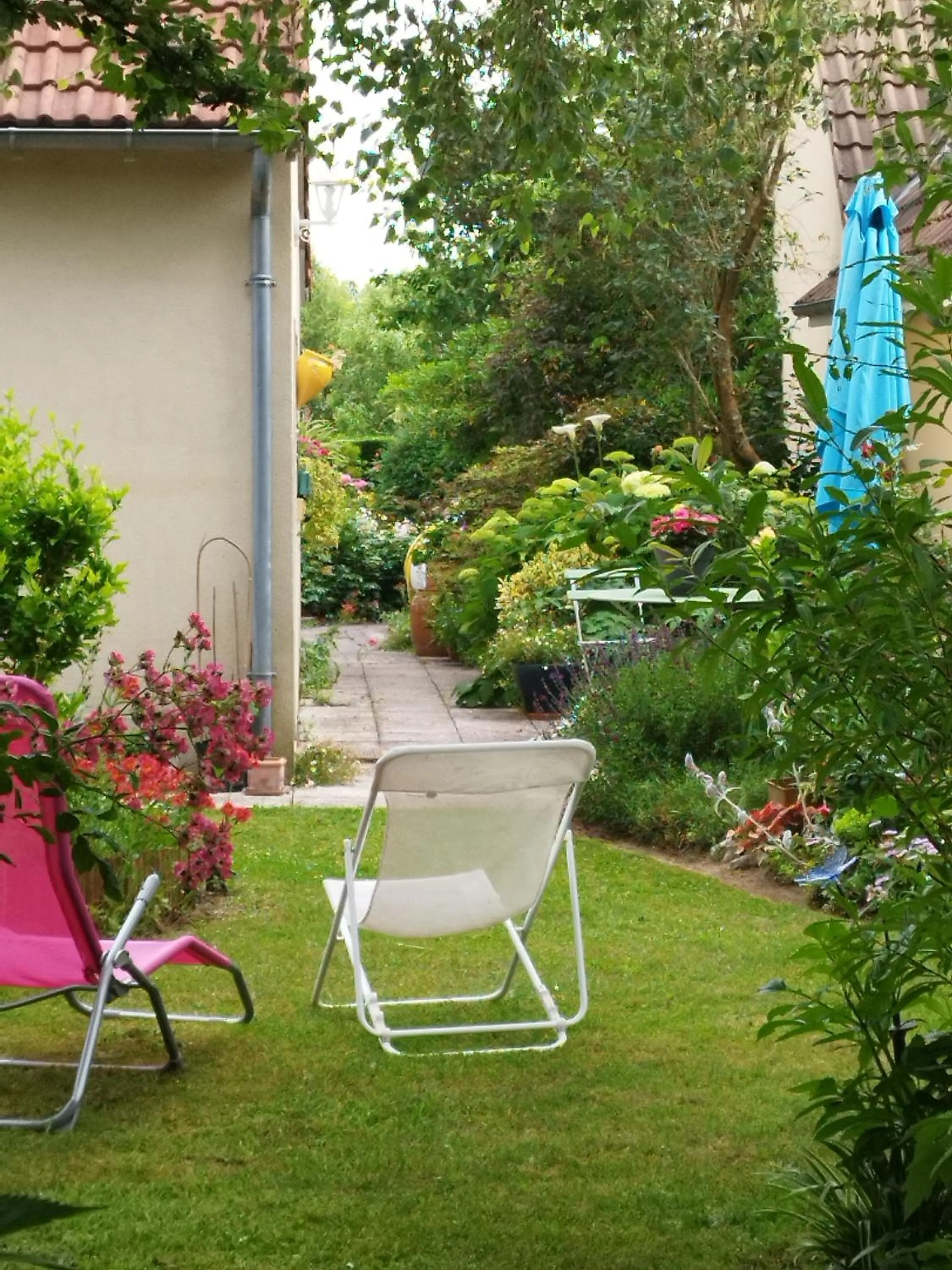 Le champ du petit bois