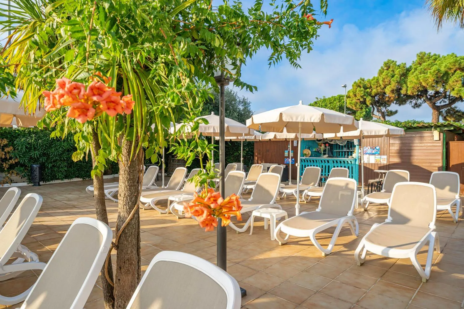 Summer in Bamblue Boutique Apartments