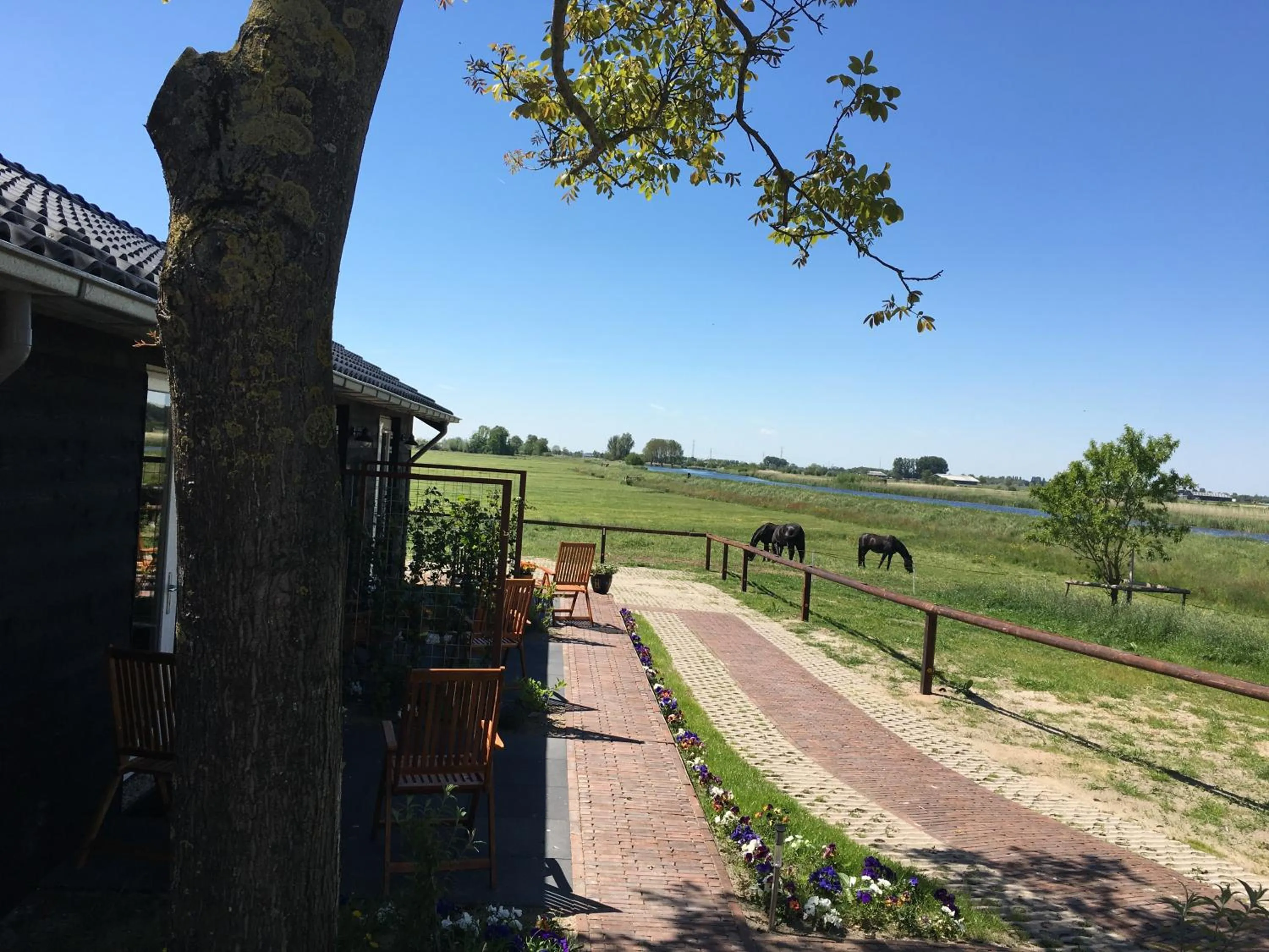 View (from property/room) in B&B De Donk
