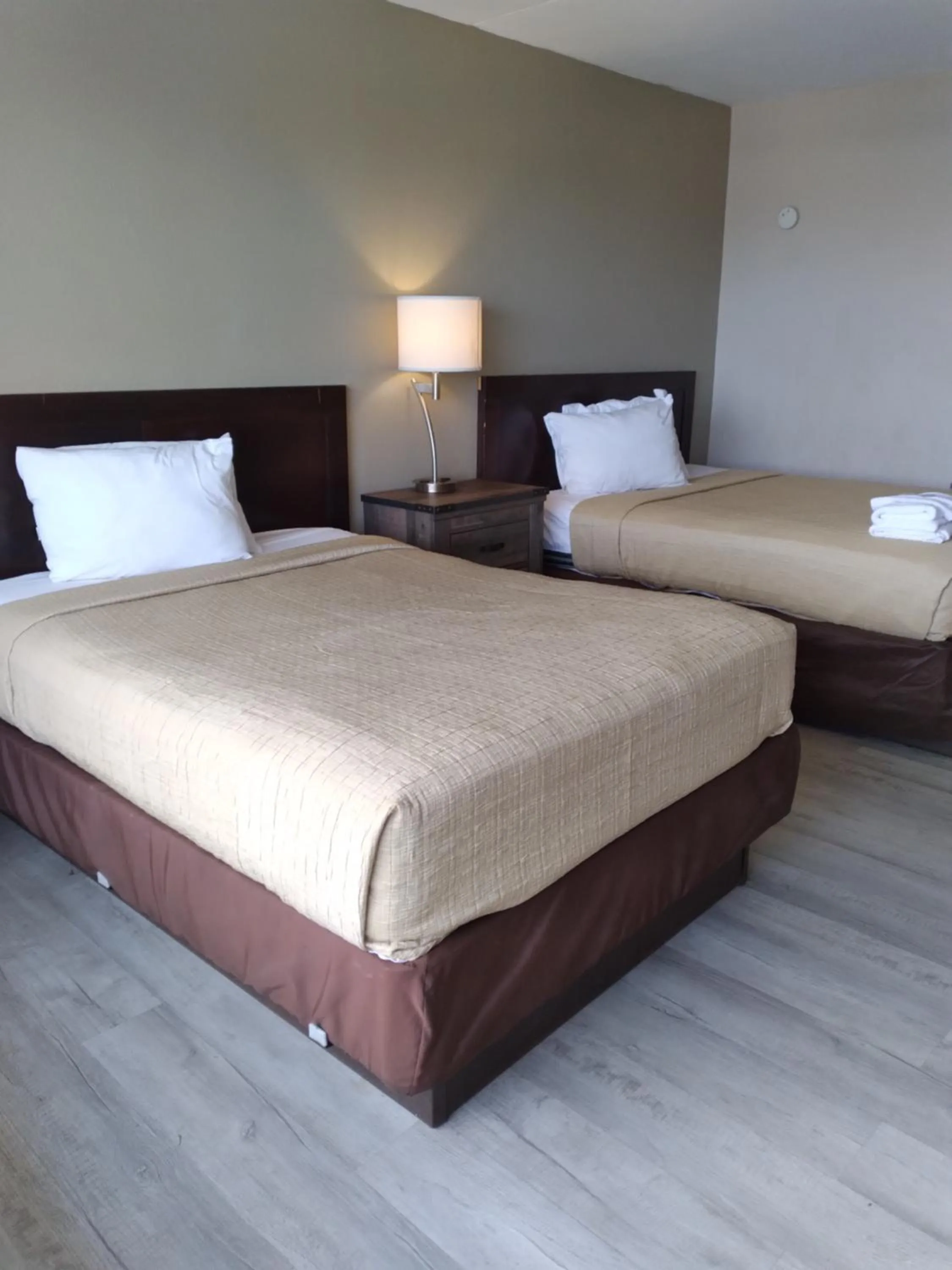 Photo of the whole room, Bed in The Virginian Motel