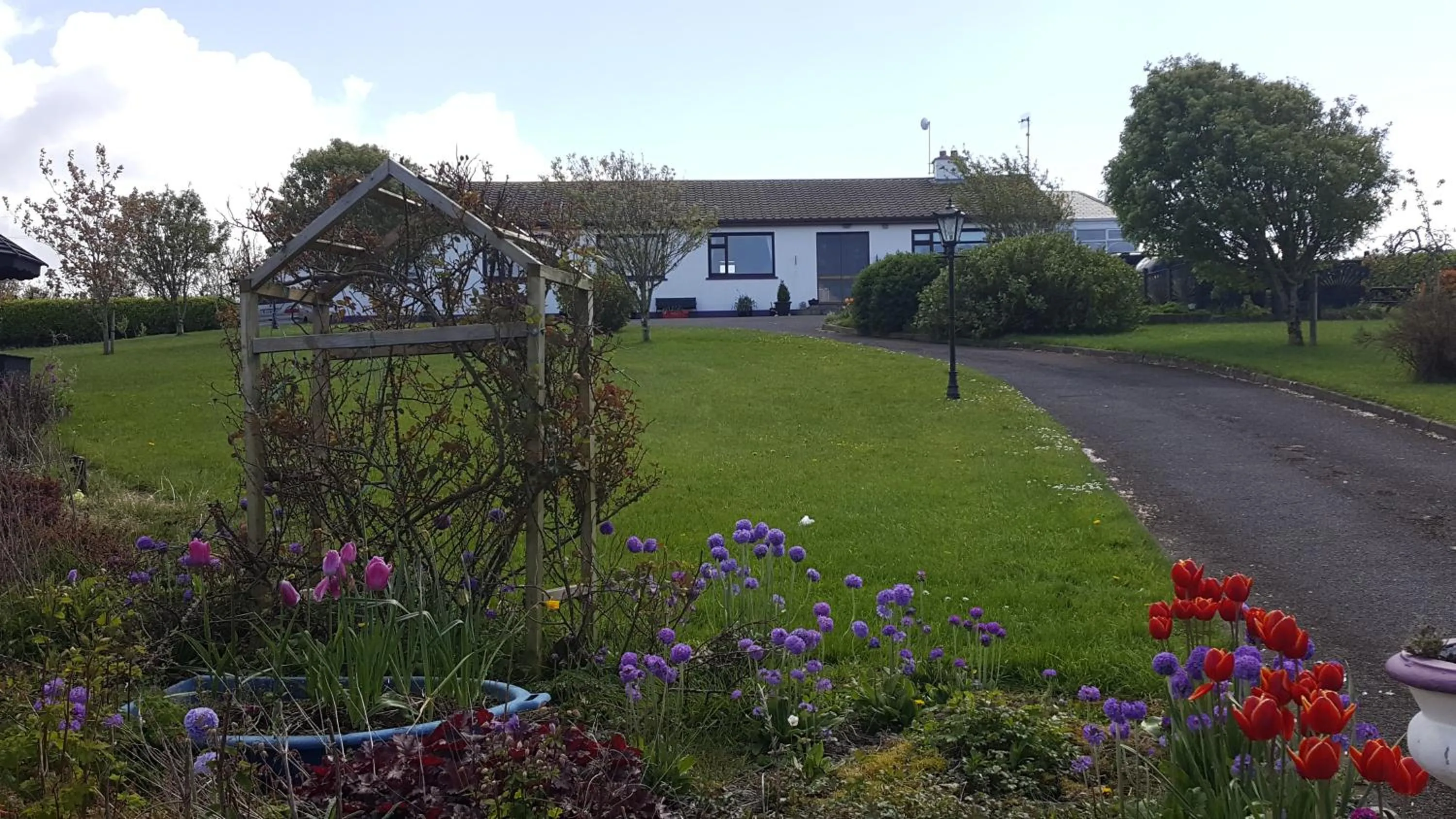 Bird's eye view in Mount Edward Lodge