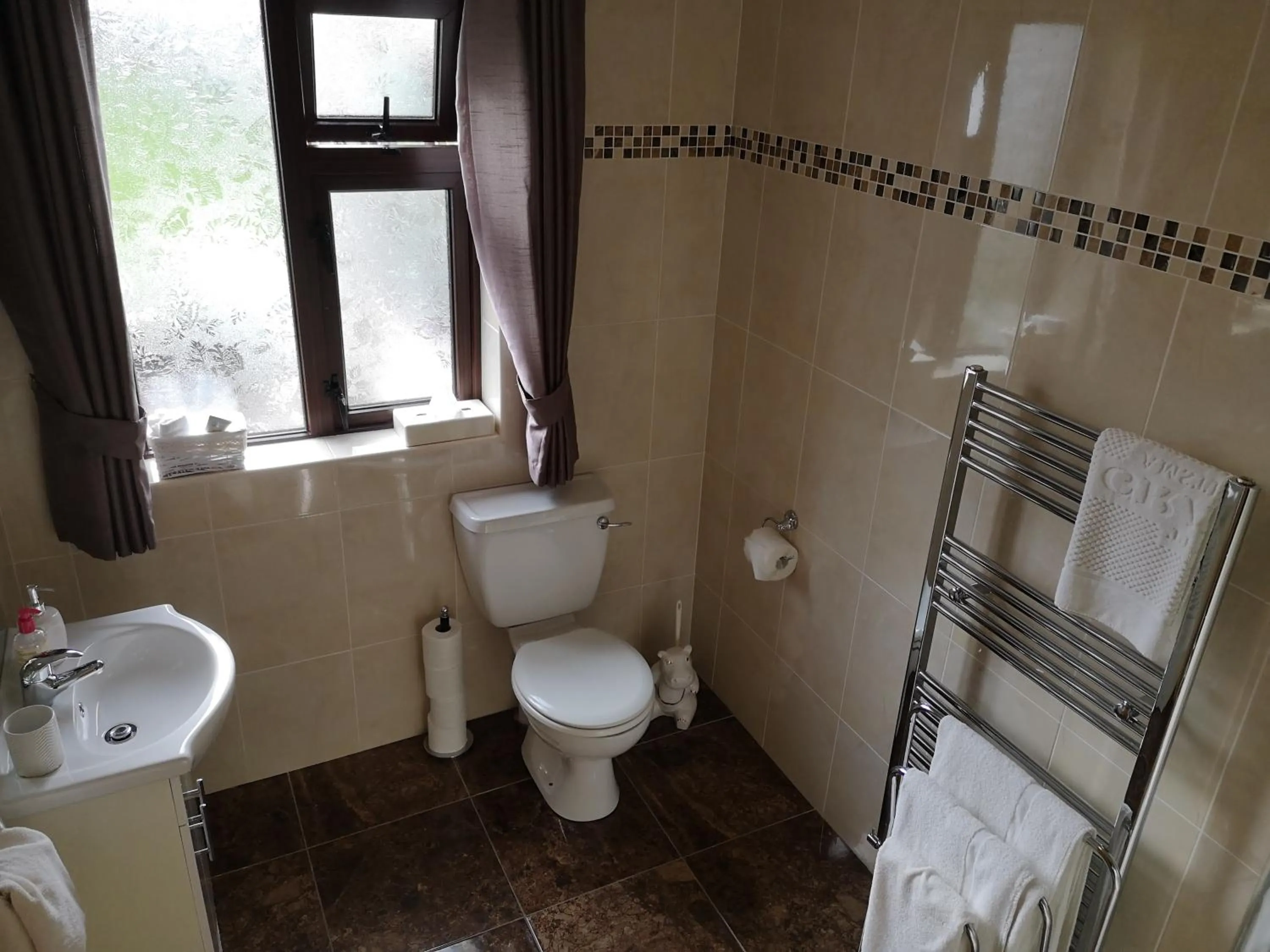 Bathroom in Mount Edward Lodge