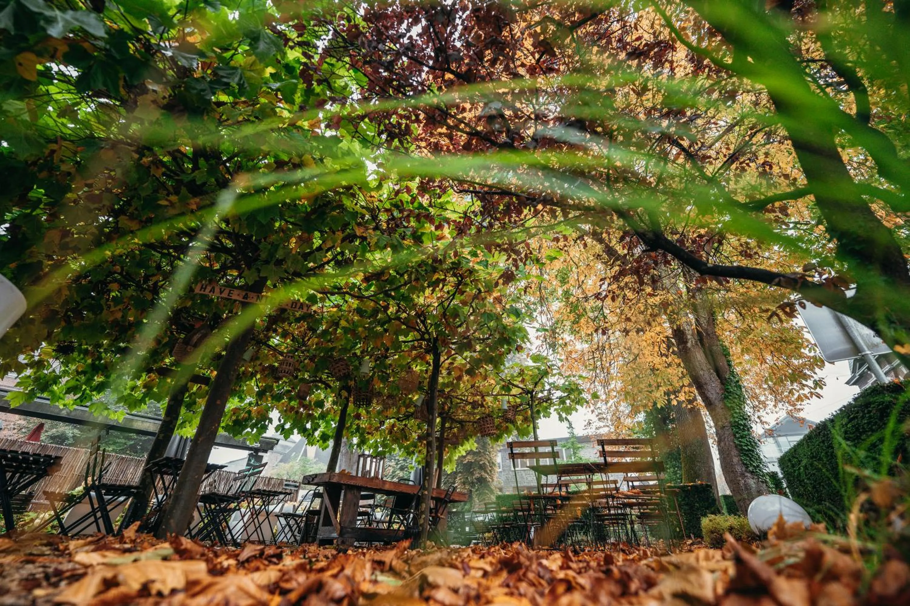 Patio in Hôtel Le Manoir