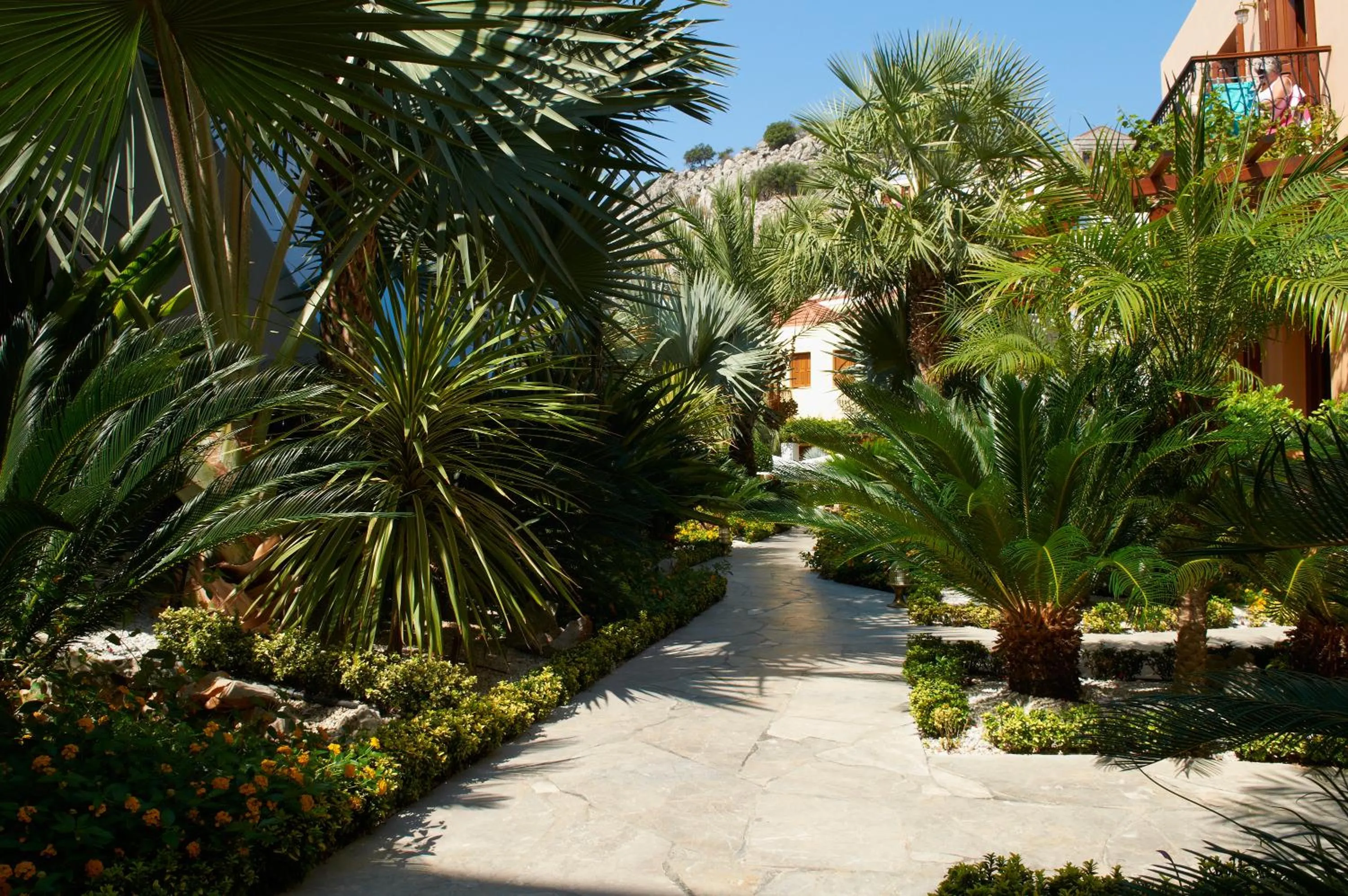 Garden in Iapetos Village