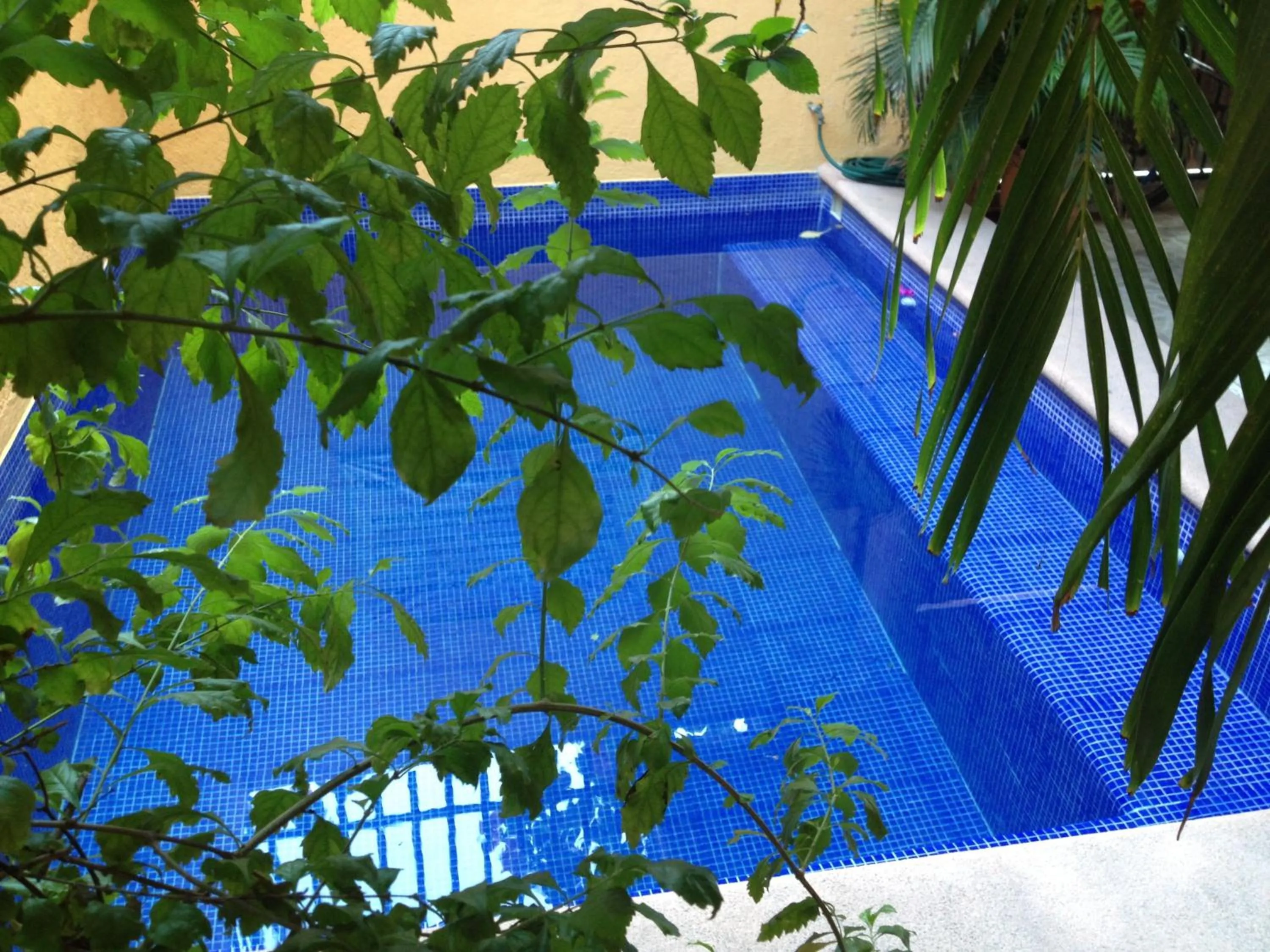 Swimming pool in Hotel Las Salinas