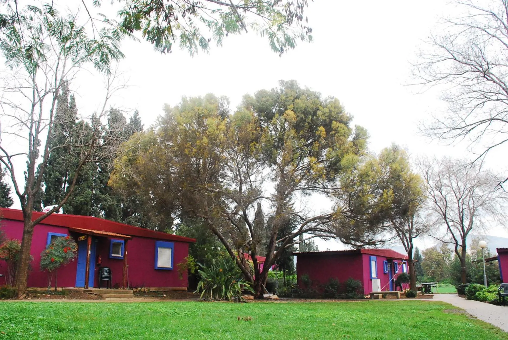 Garden in Mizra Guest House