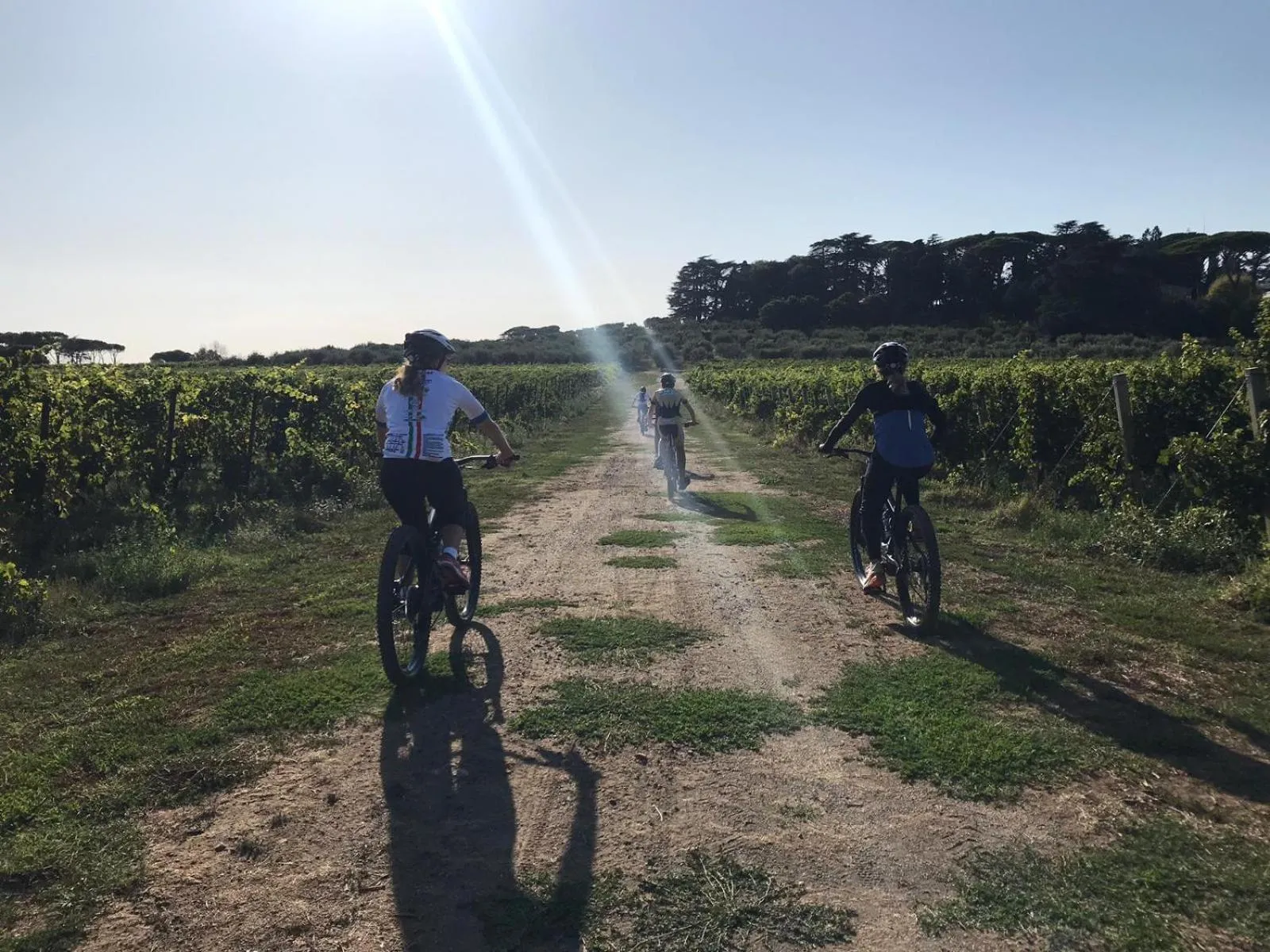 Cycling in Villa Cavalletti