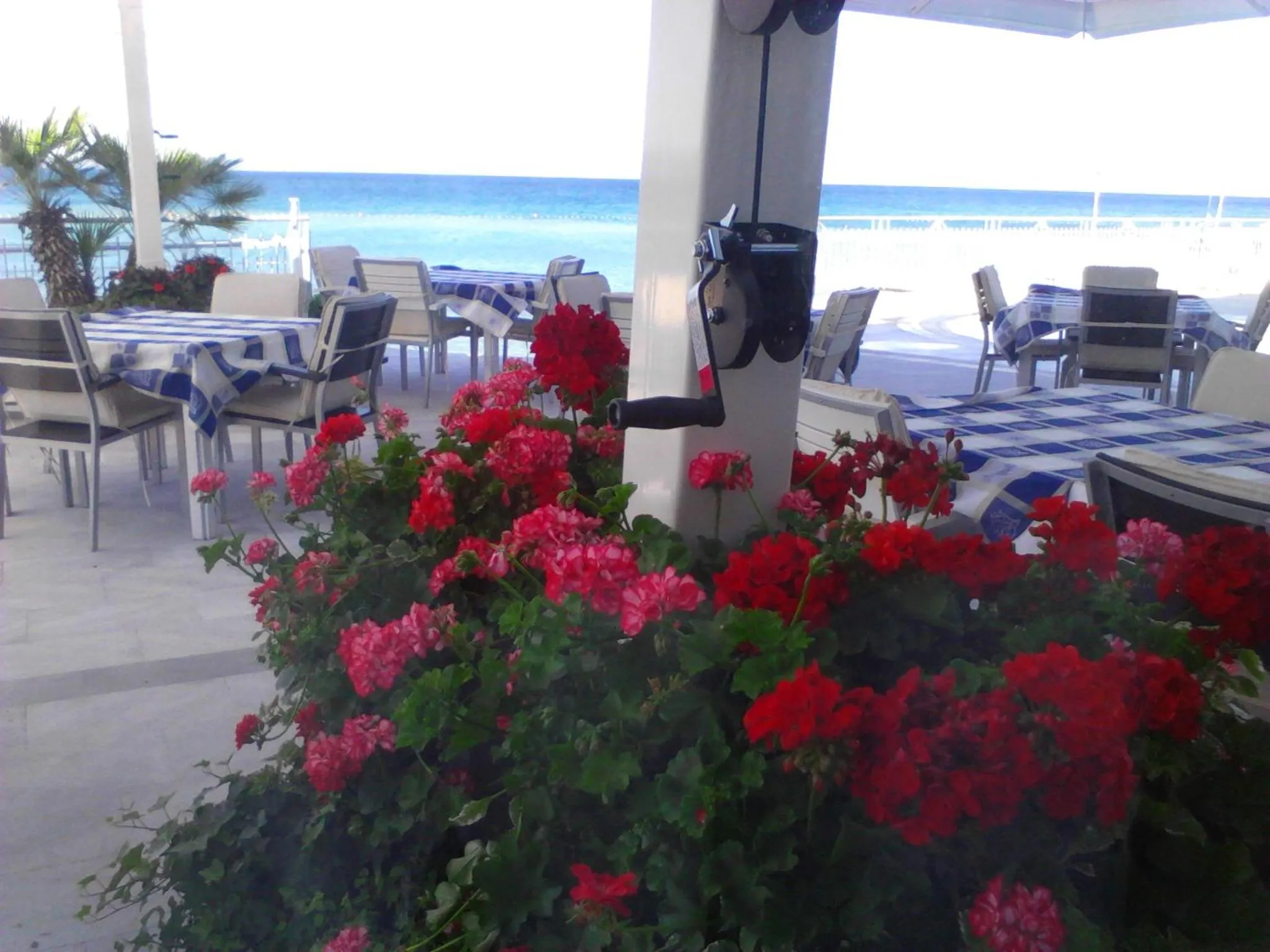 Restaurant/places to eat in Hotel Neva