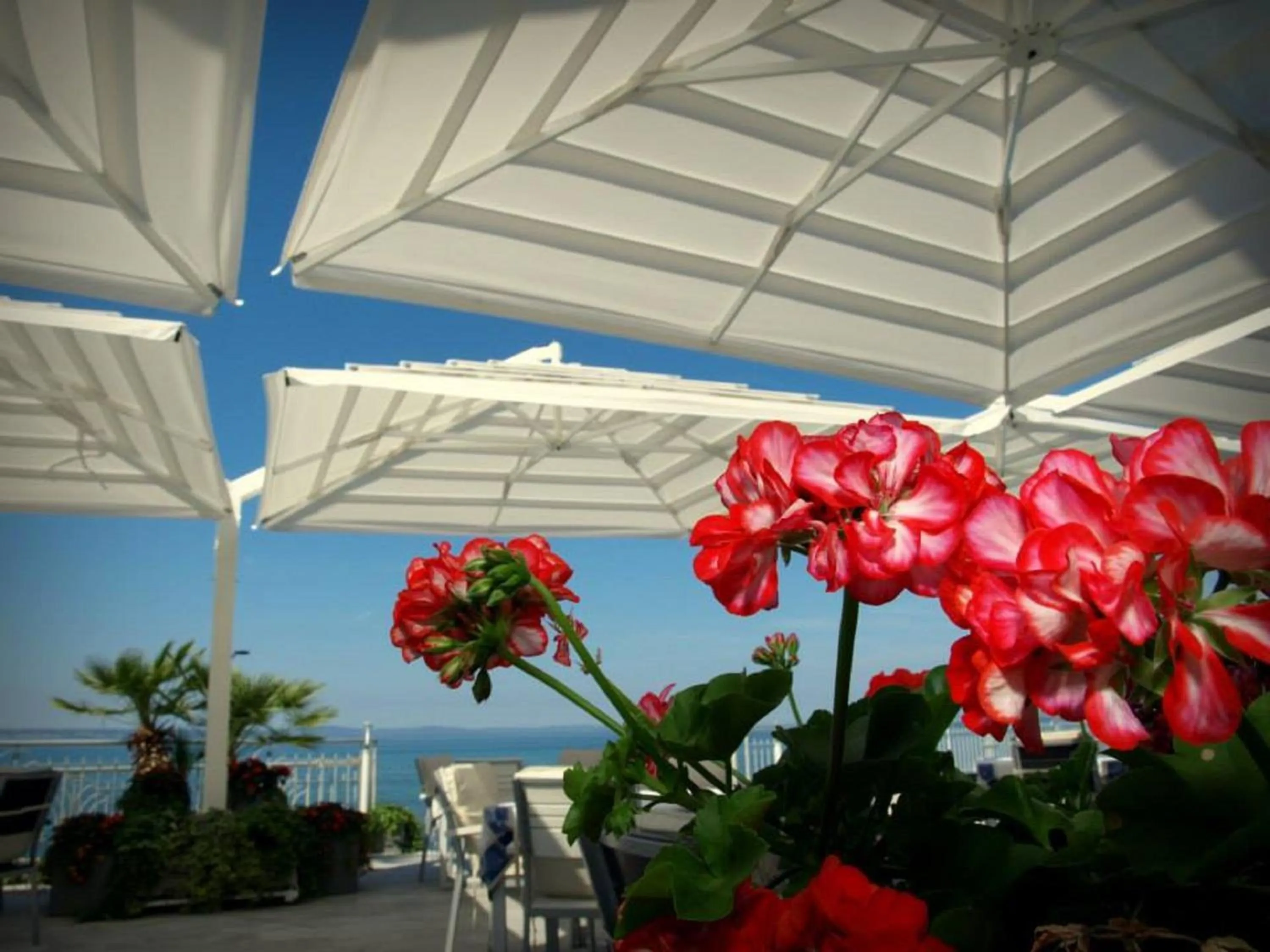 Balcony/Terrace in Hotel Neva
