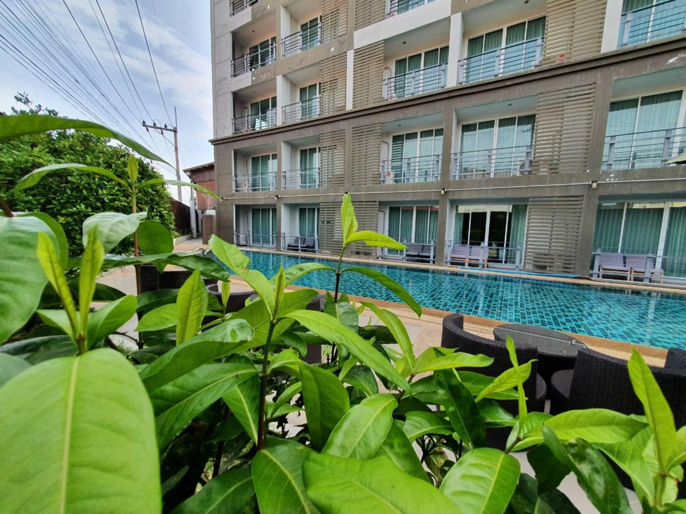 Swimming pool in Retreat Resort Pattaya