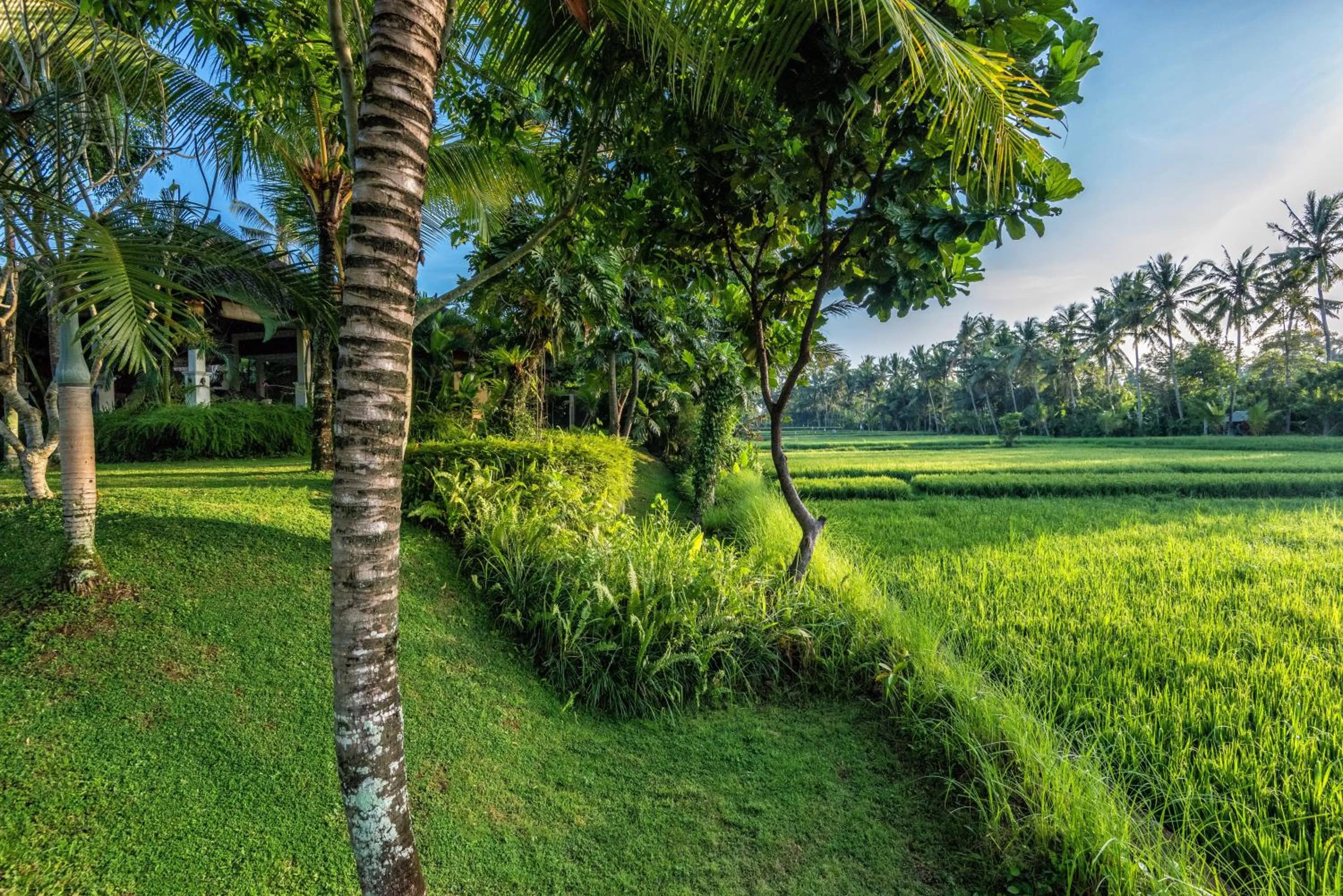 Garden in Villa Sabandari
