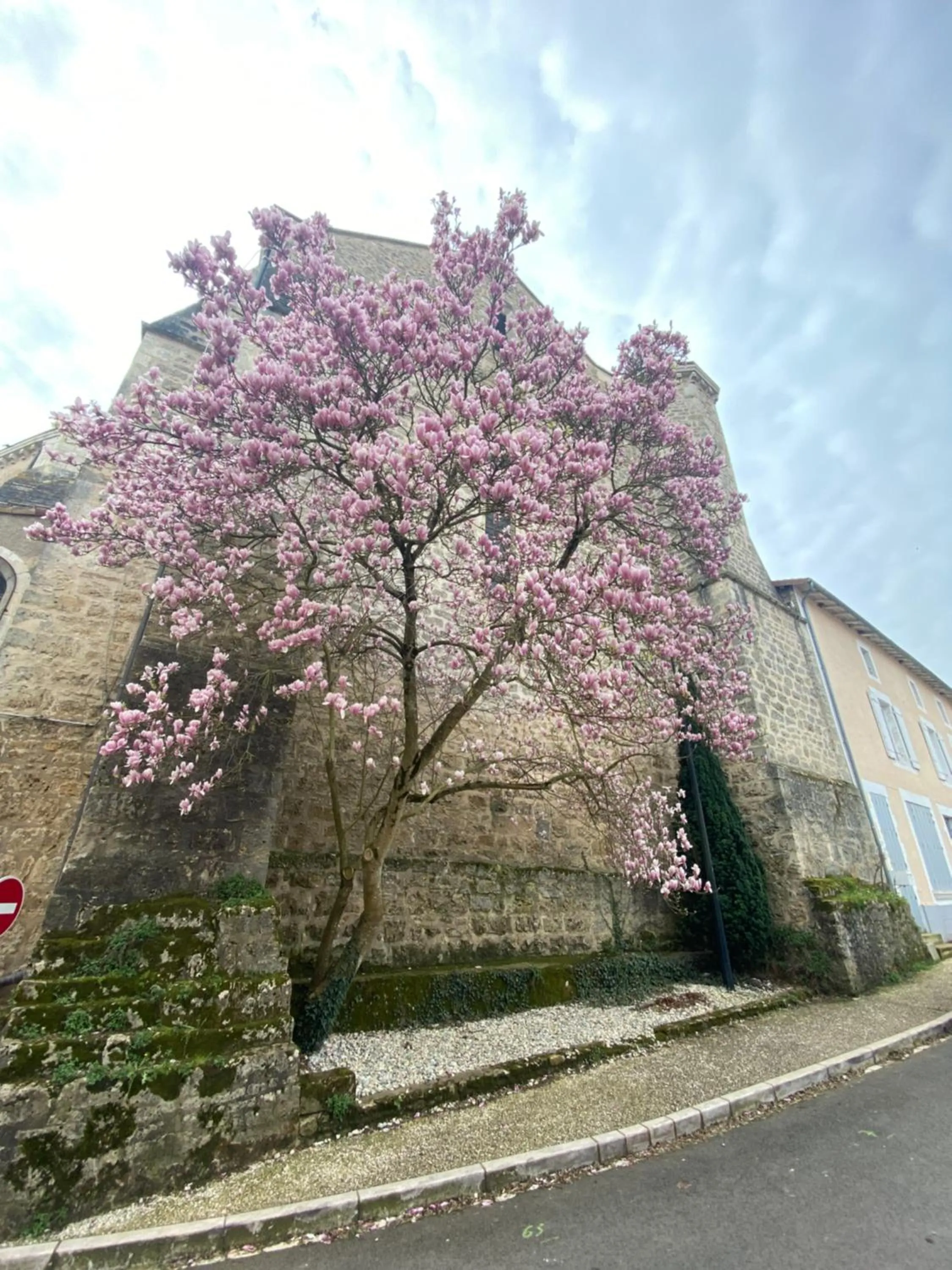 Logis Hôtel Le Saint Georges