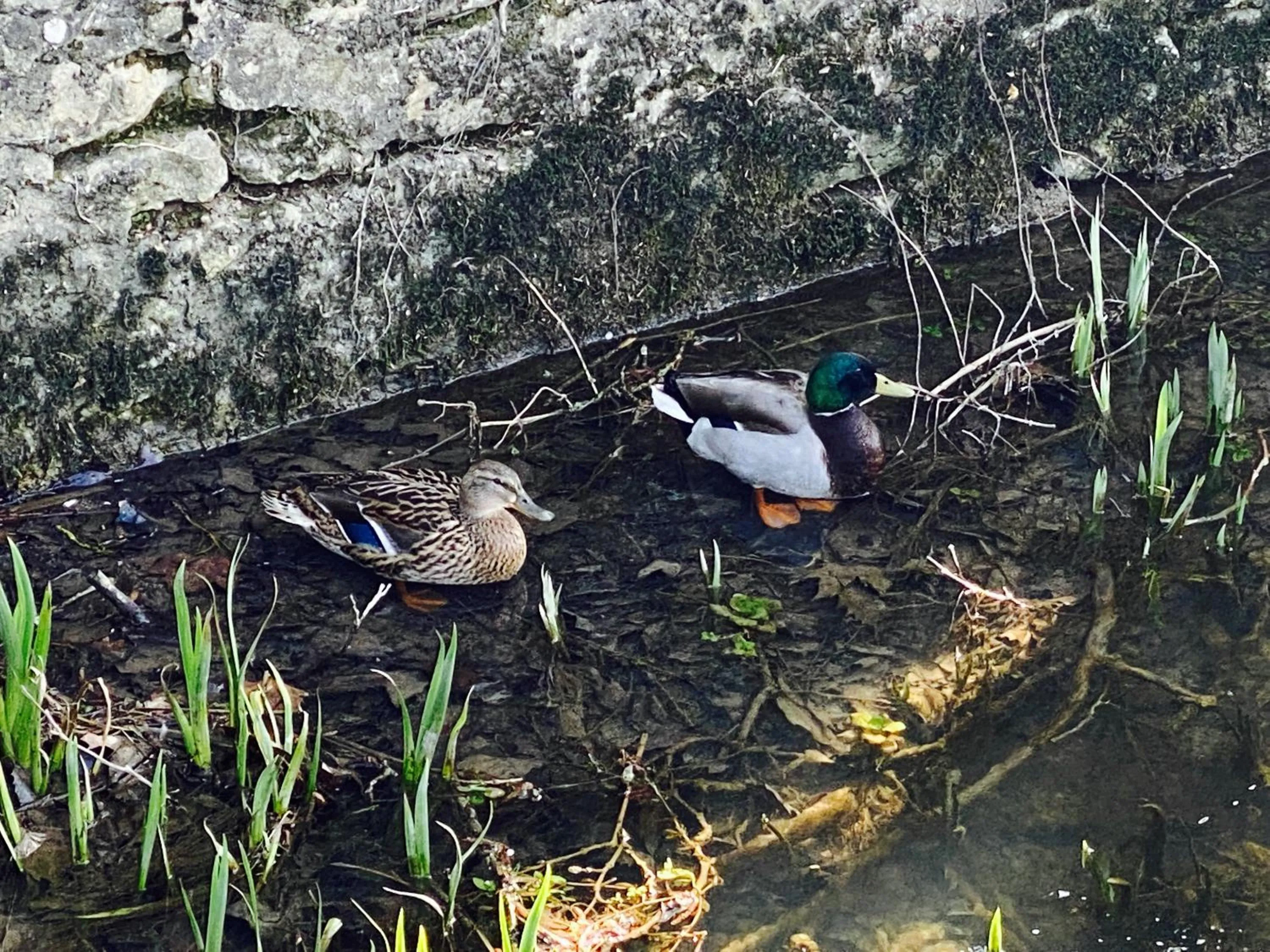 Logis Hôtel Le Saint Georges