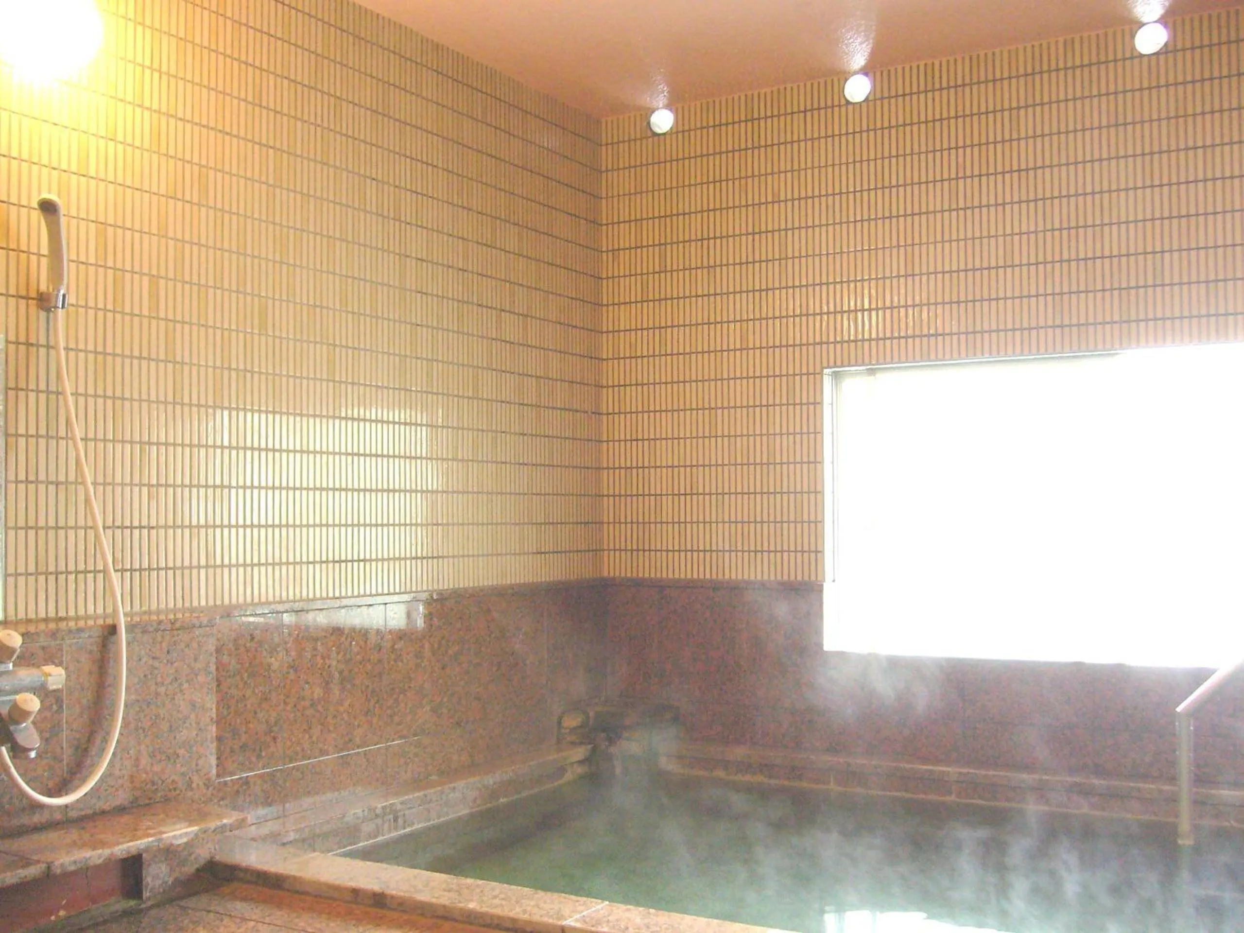 Hot Spring Bath in Hotel Senke