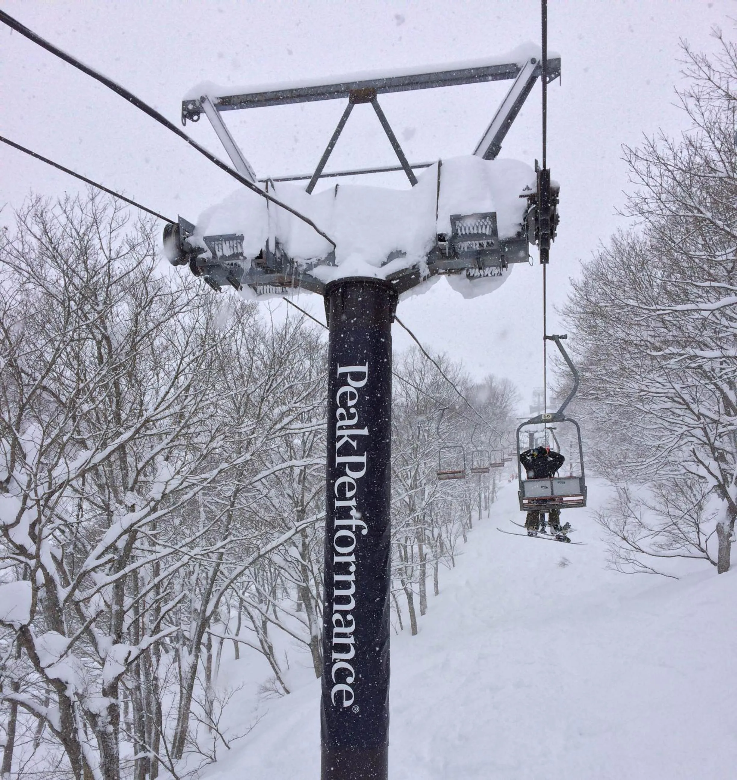 Area and facilities in Hotel Senke