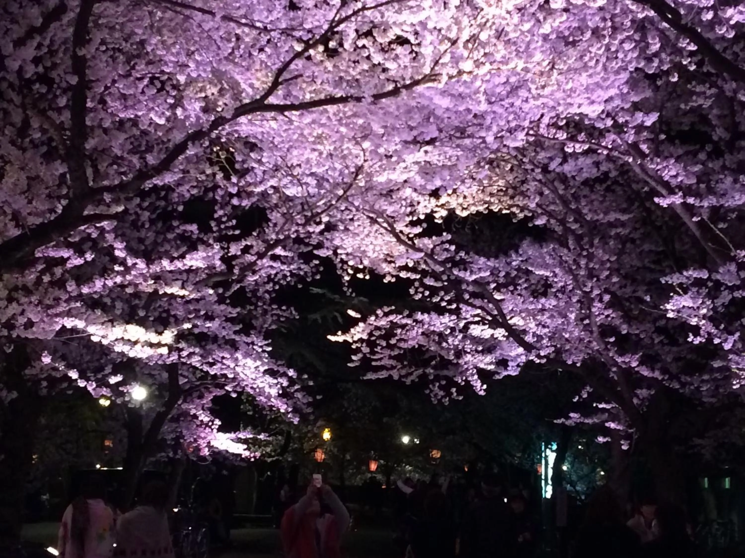 Other in Hotel Senke