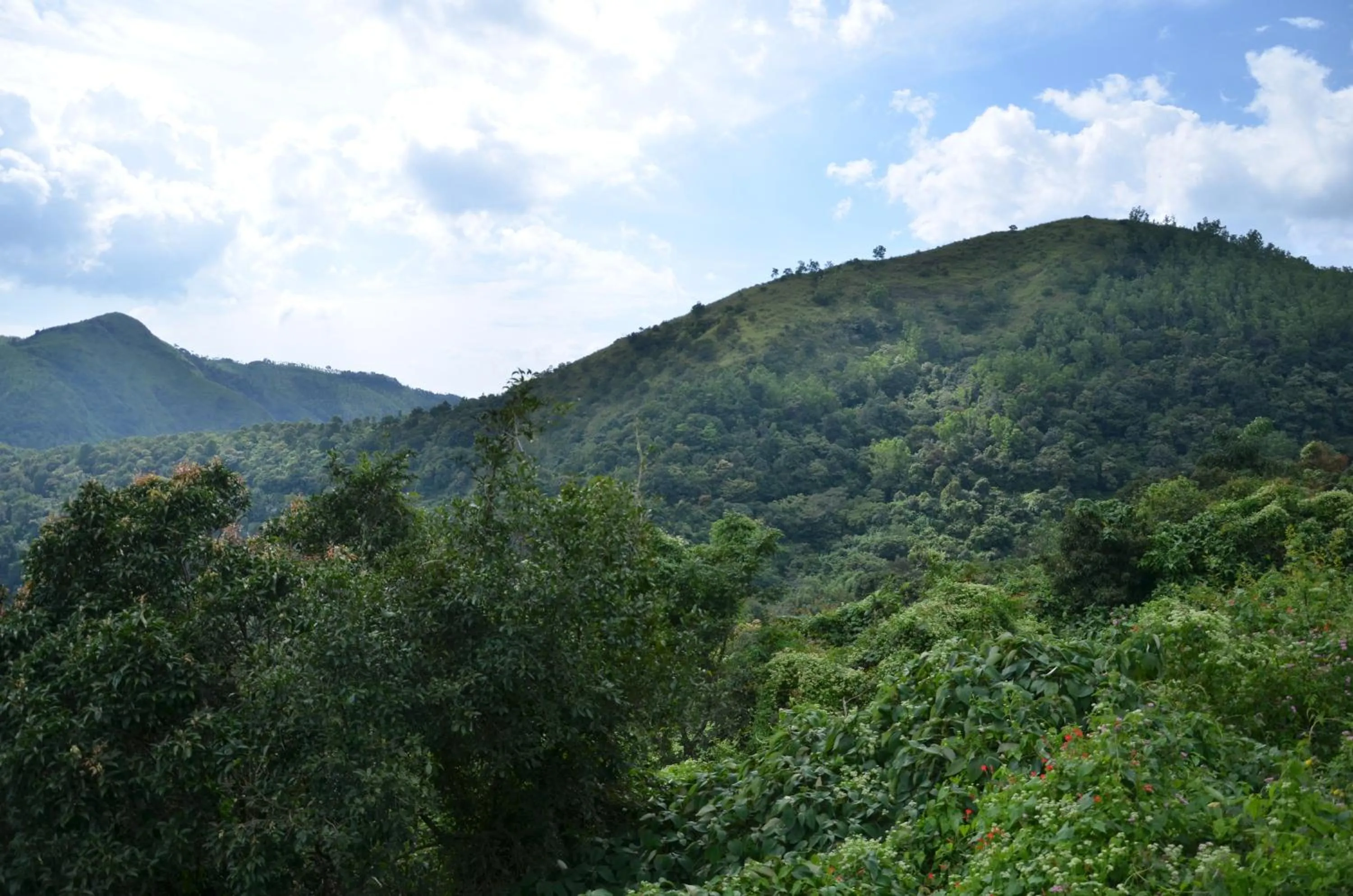 Natural landscape in Spice Grove