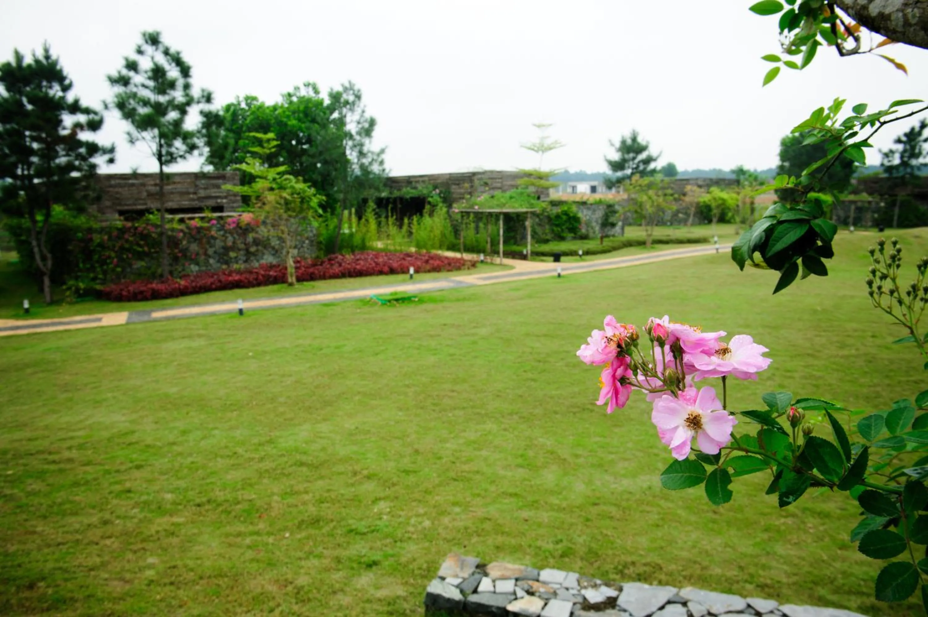 Garden in Flamingo Dai Lai Resort