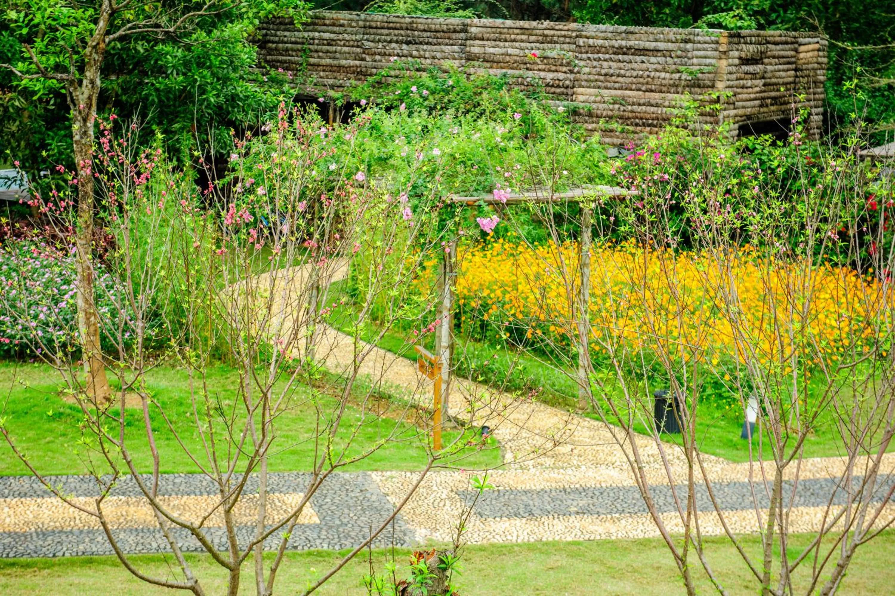 Garden in Flamingo Dai Lai Resort
