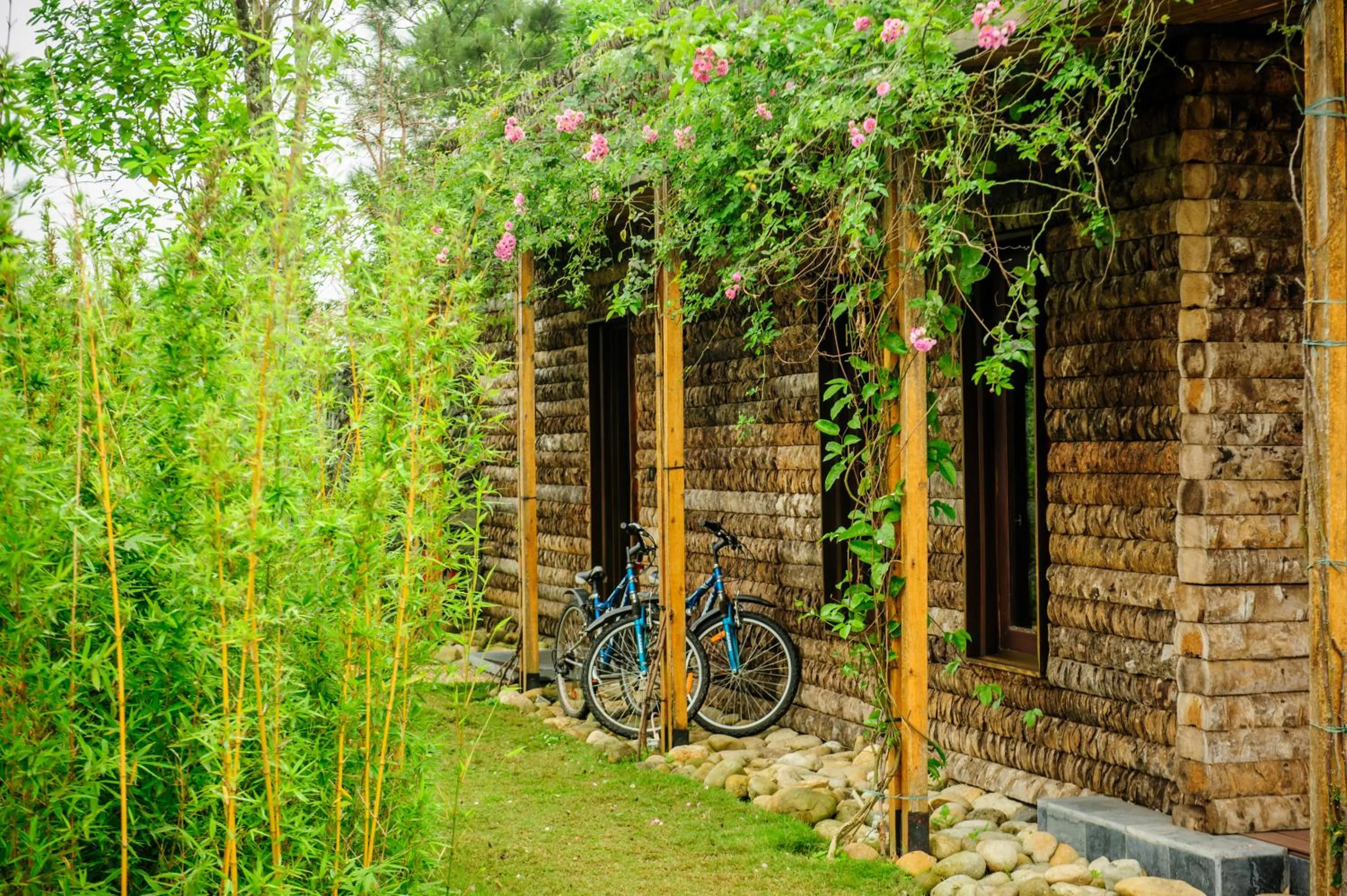 Patio, Garden in Flamingo Dai Lai Resort
