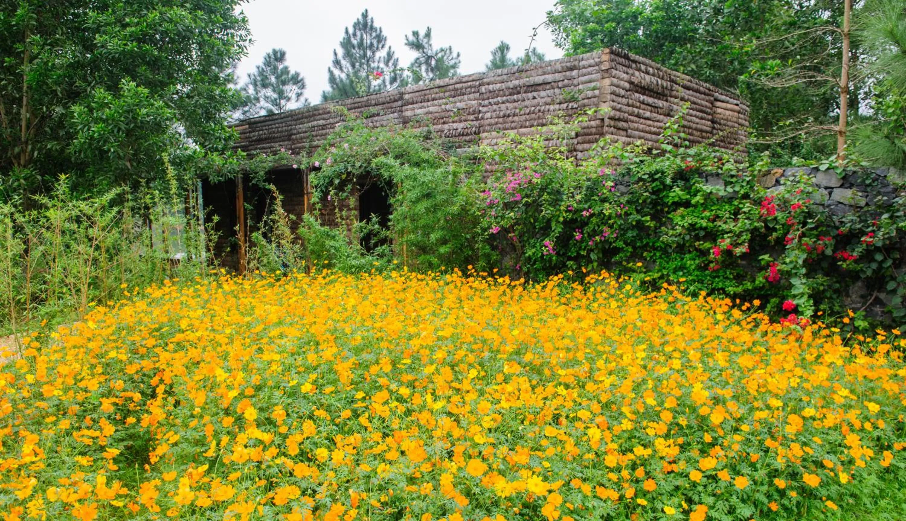 Property Building in Flamingo Dai Lai Resort