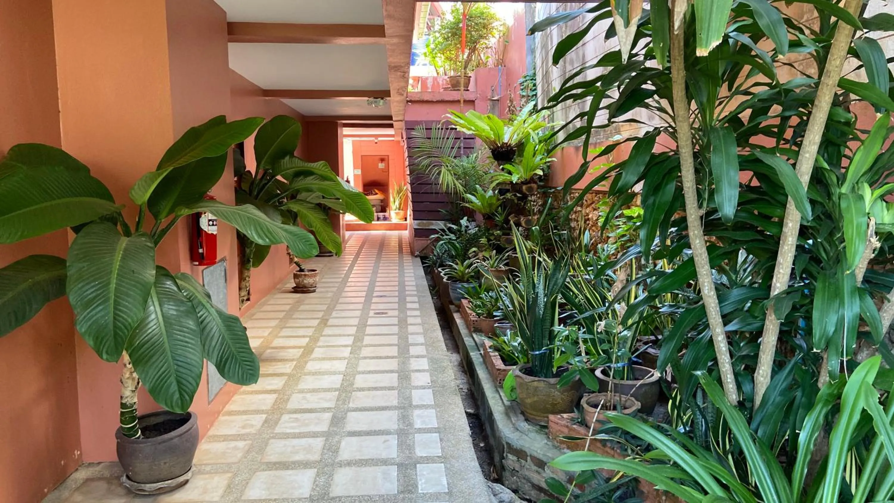 Garden in Baan Kongdee Sunset Resort Kata