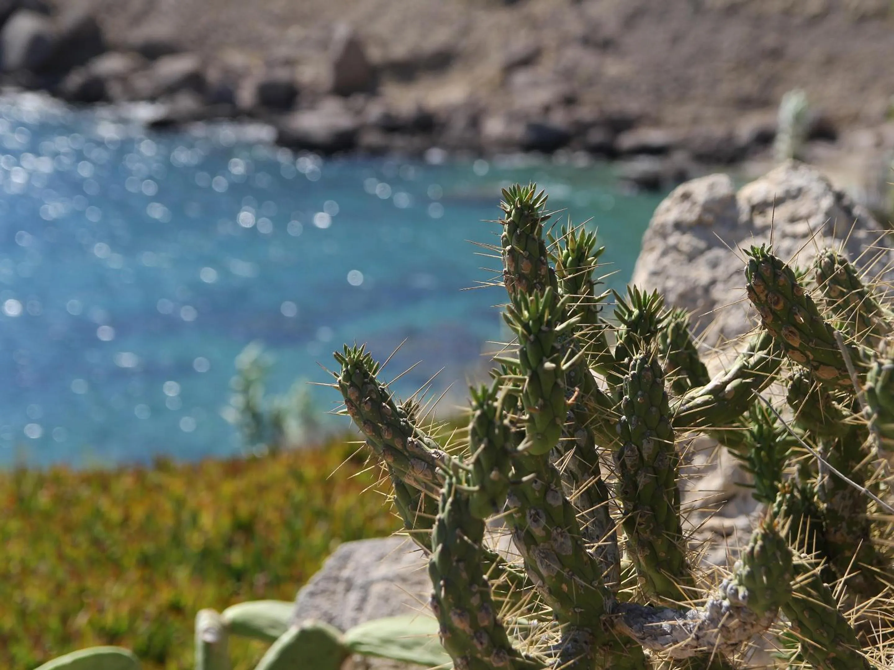 Natural landscape in Mykonos Lolita, A Grecotel Resort to Live