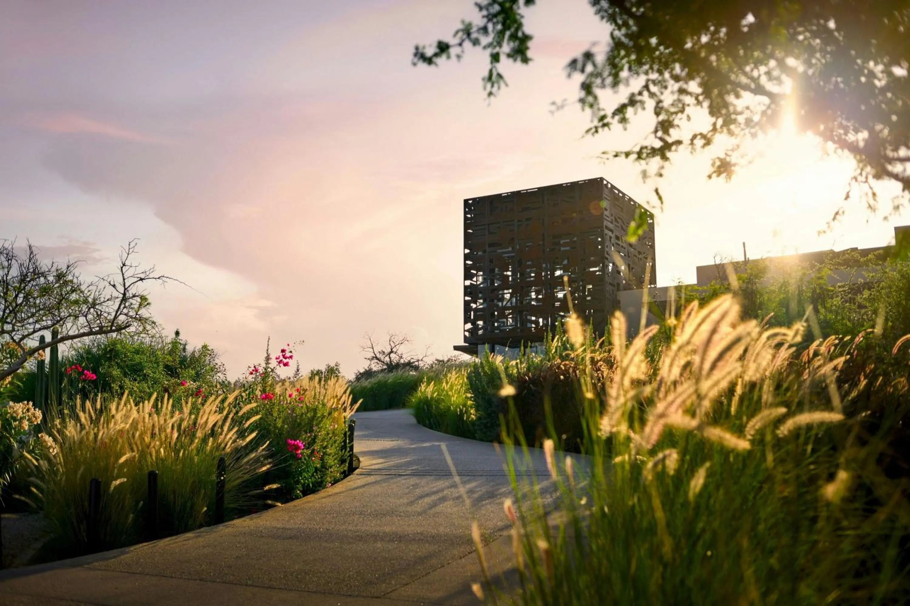 Lounge or bar in Zadun Los Cabos, a Ritz-Carlton Reserve