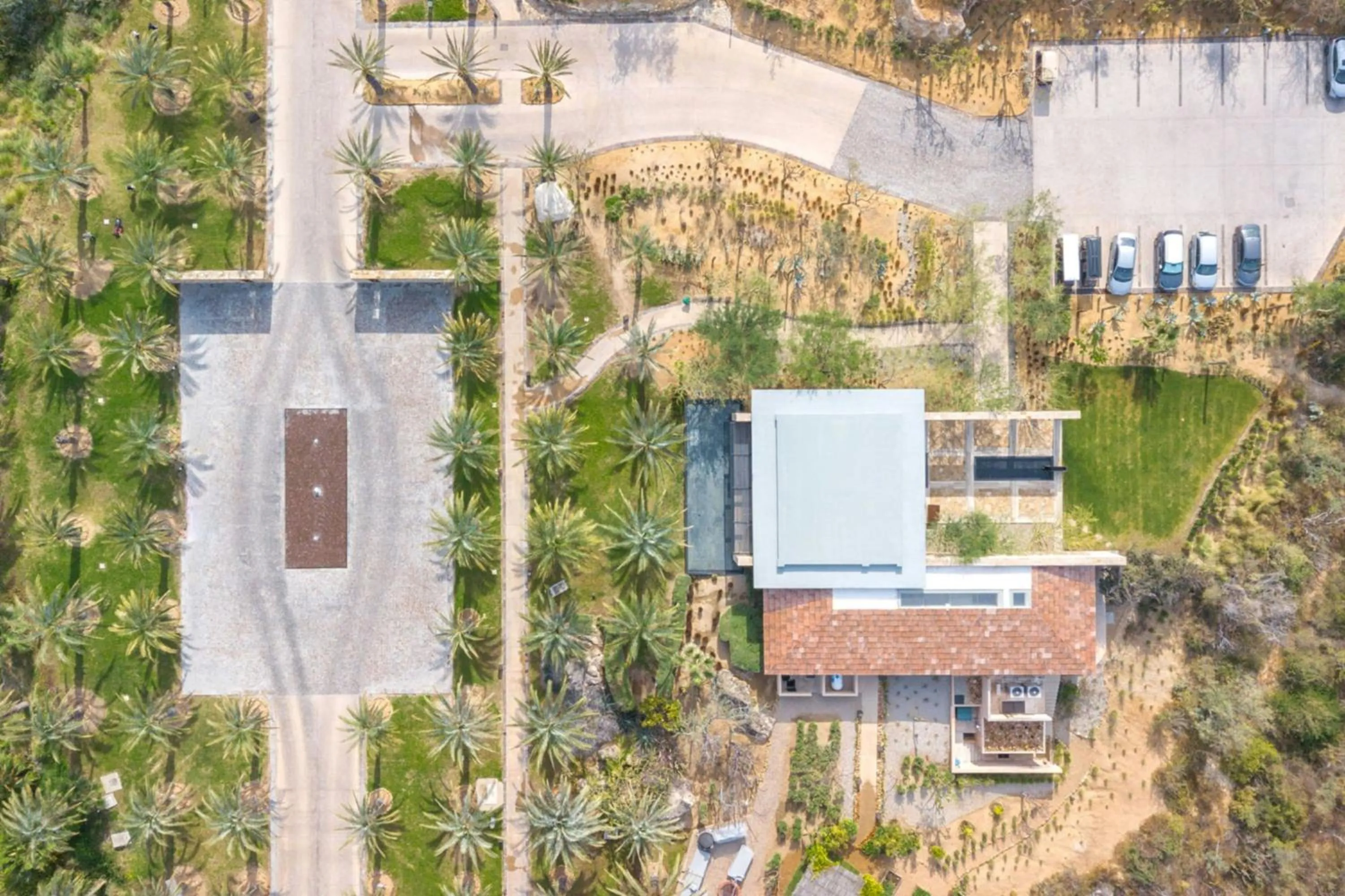 Lounge or bar in Zadun Los Cabos, a Ritz-Carlton Reserve