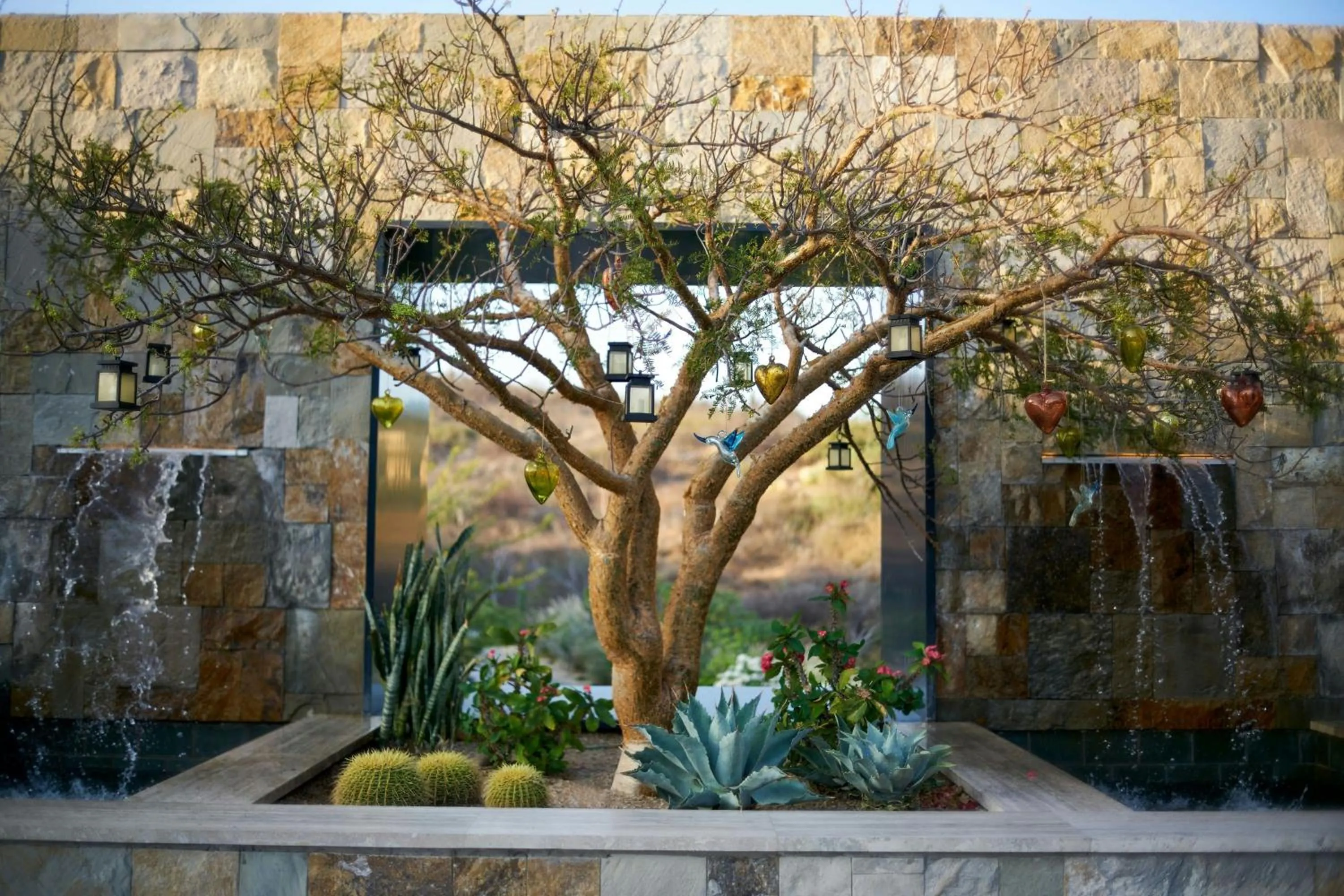 View (from property/room) in Zadun Los Cabos, a Ritz-Carlton Reserve