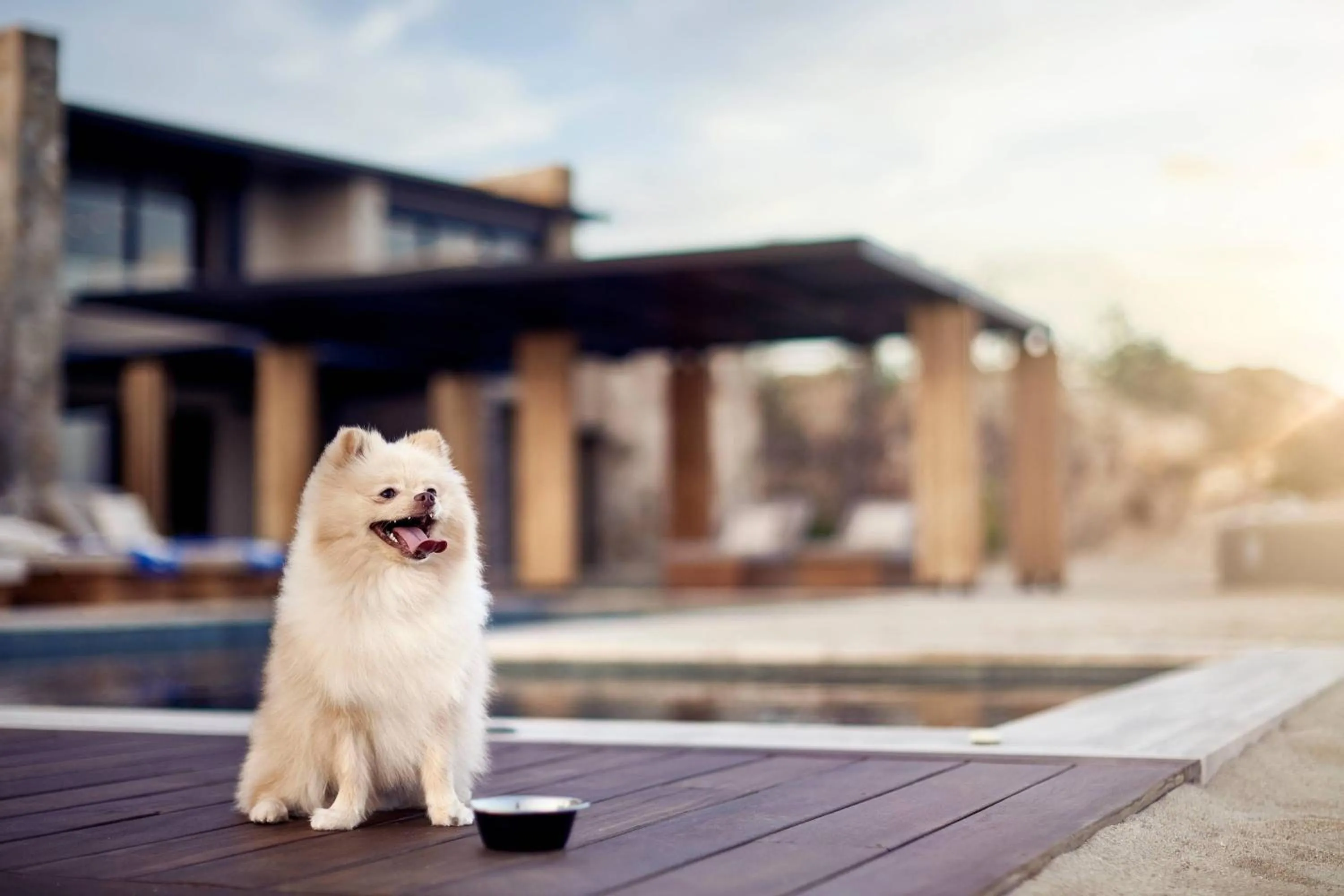 Other in Zadun Los Cabos, a Ritz-Carlton Reserve