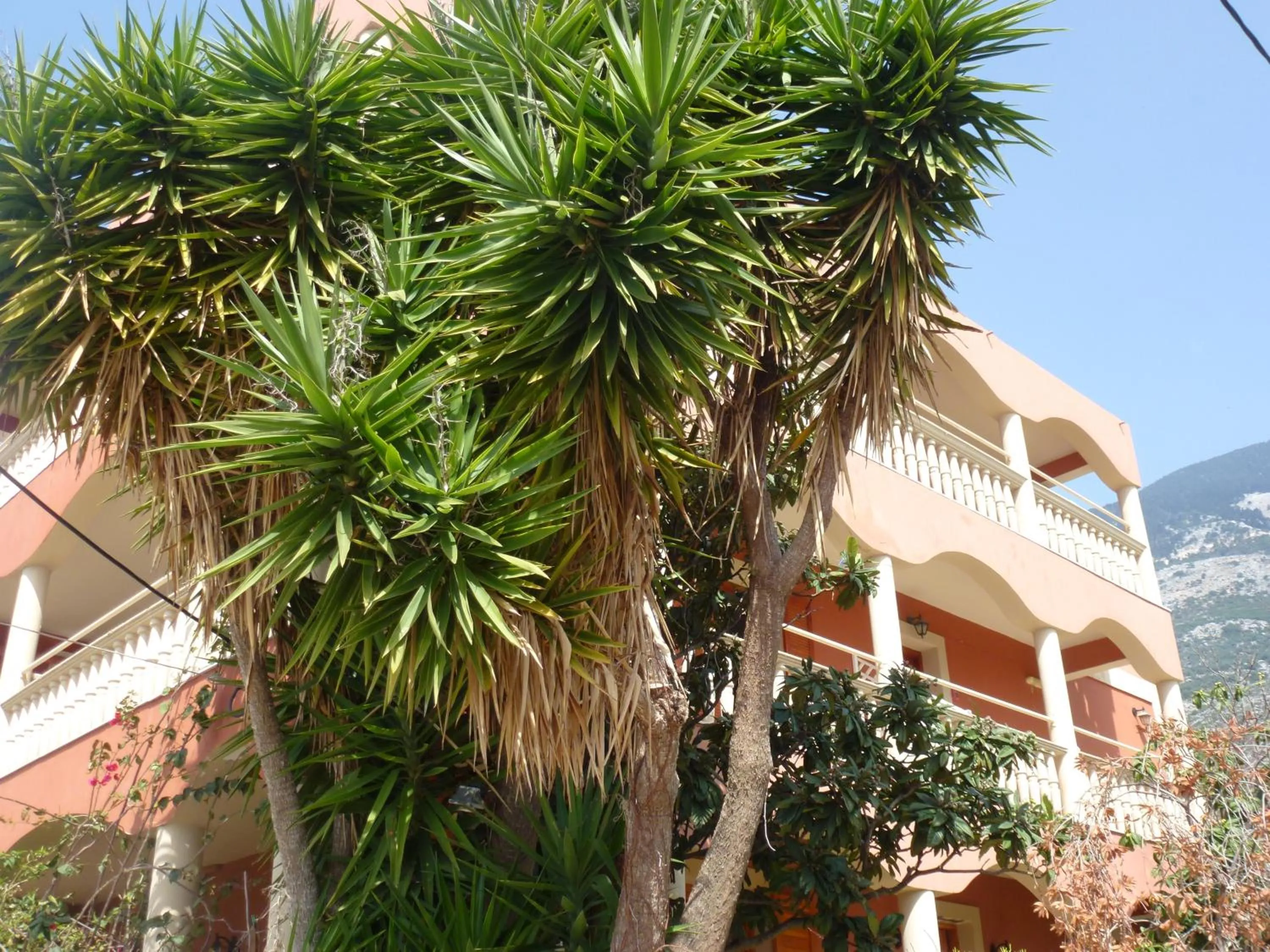 Facade/entrance in Marinos Studios at Lourdata village