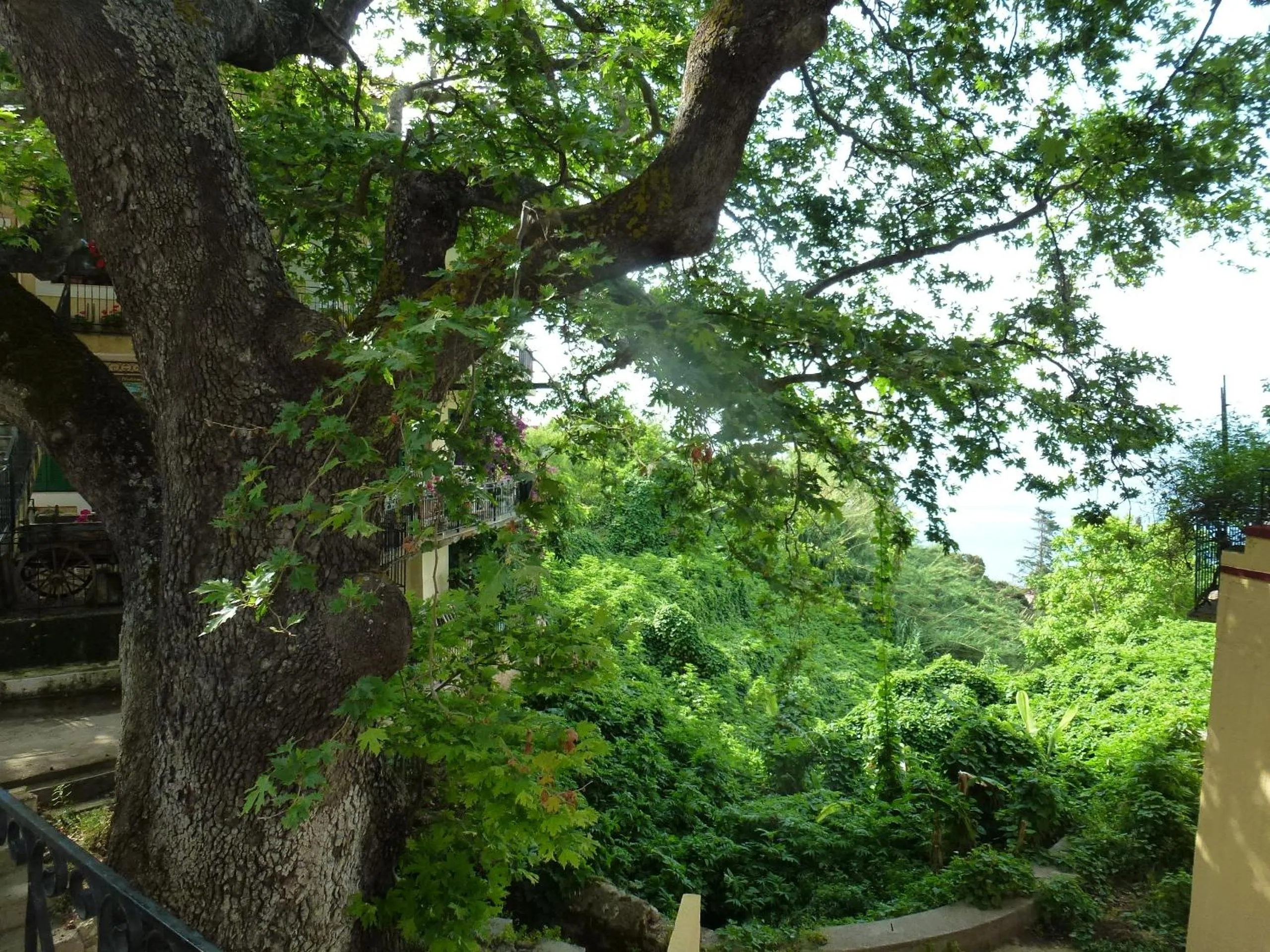 Marinos Studios at Lourdata village