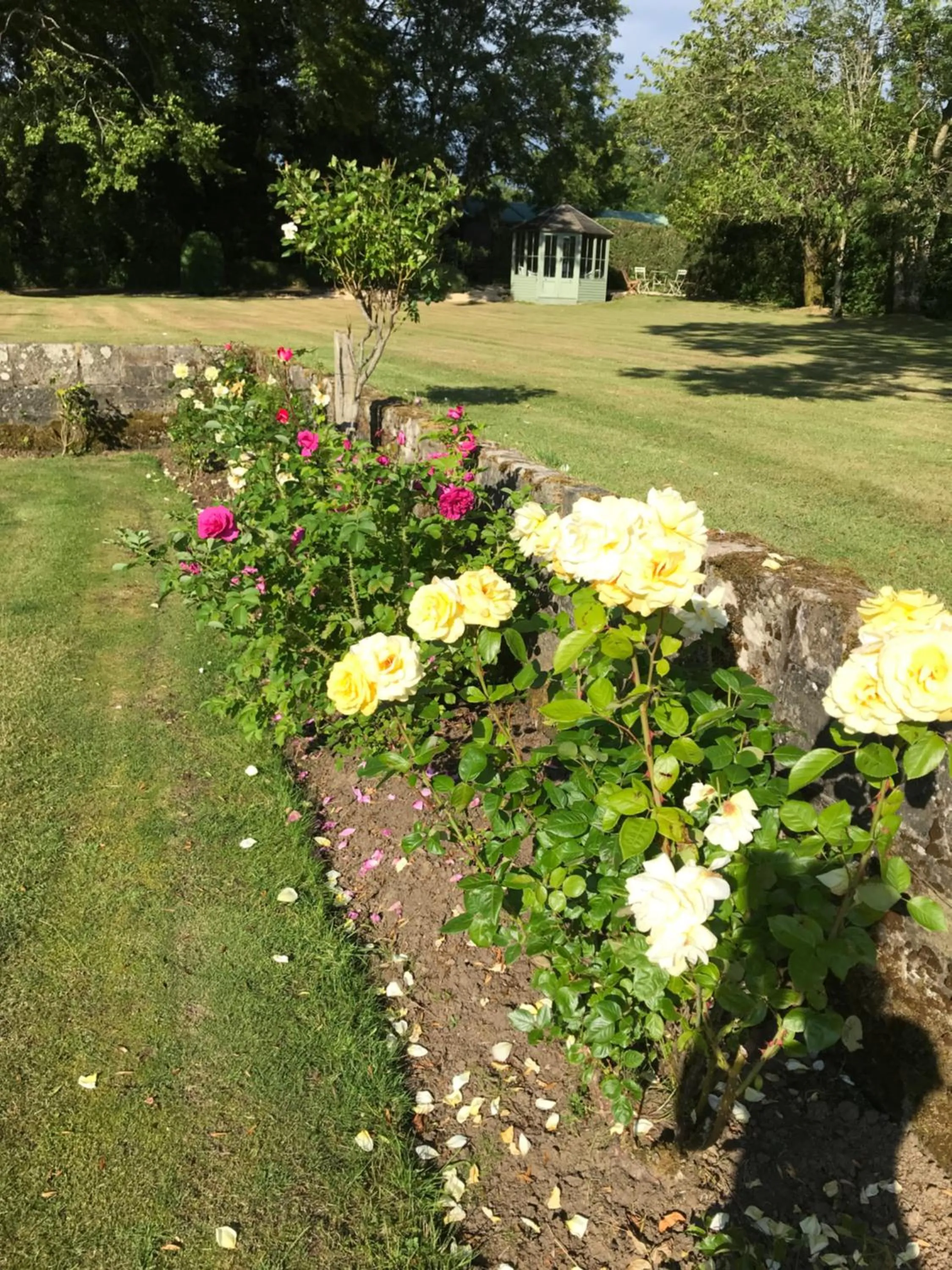 Garden in South Craighall B&B