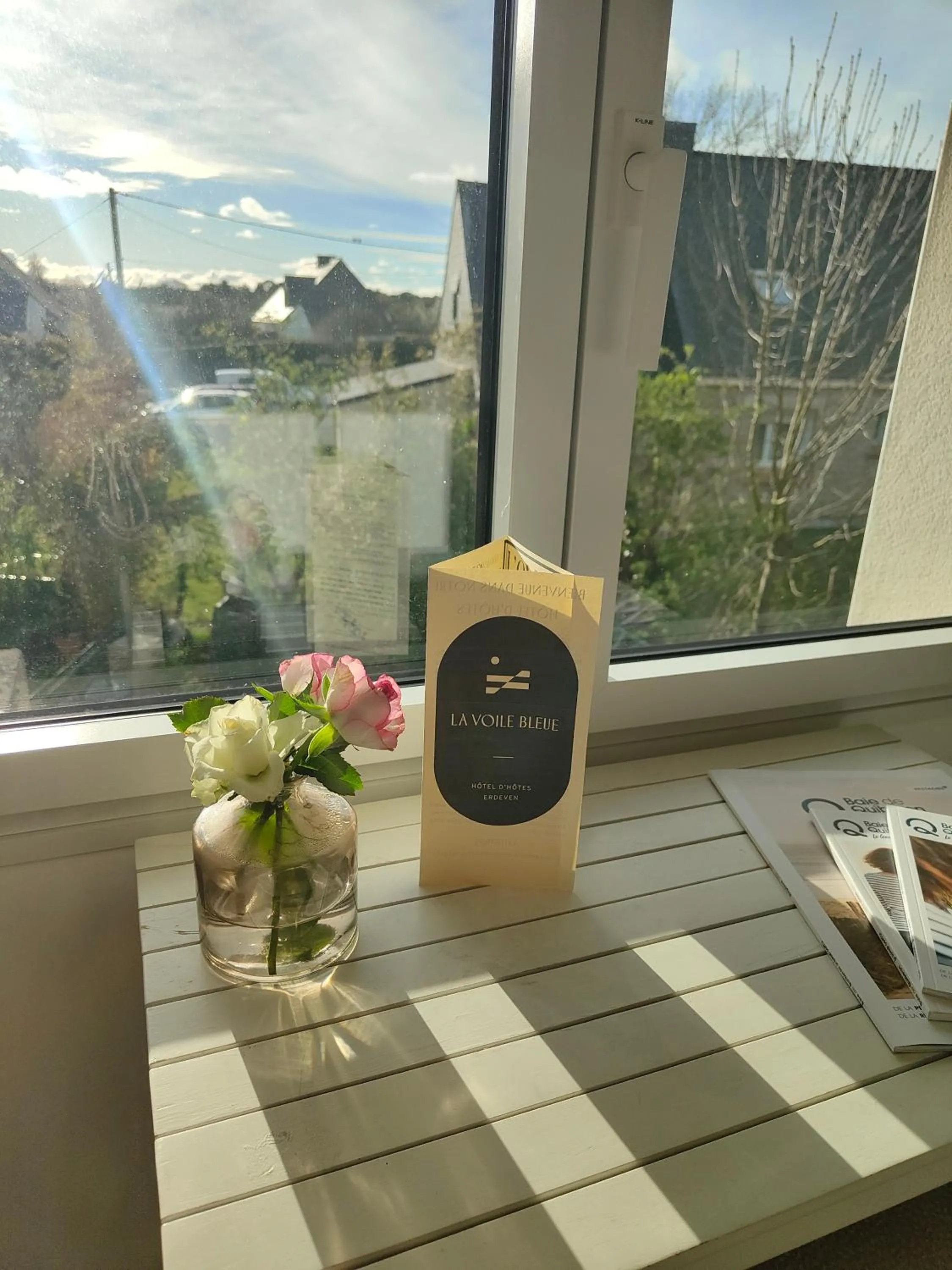 View (from property/room) in Hôtel Restaurant La Voile Bleue