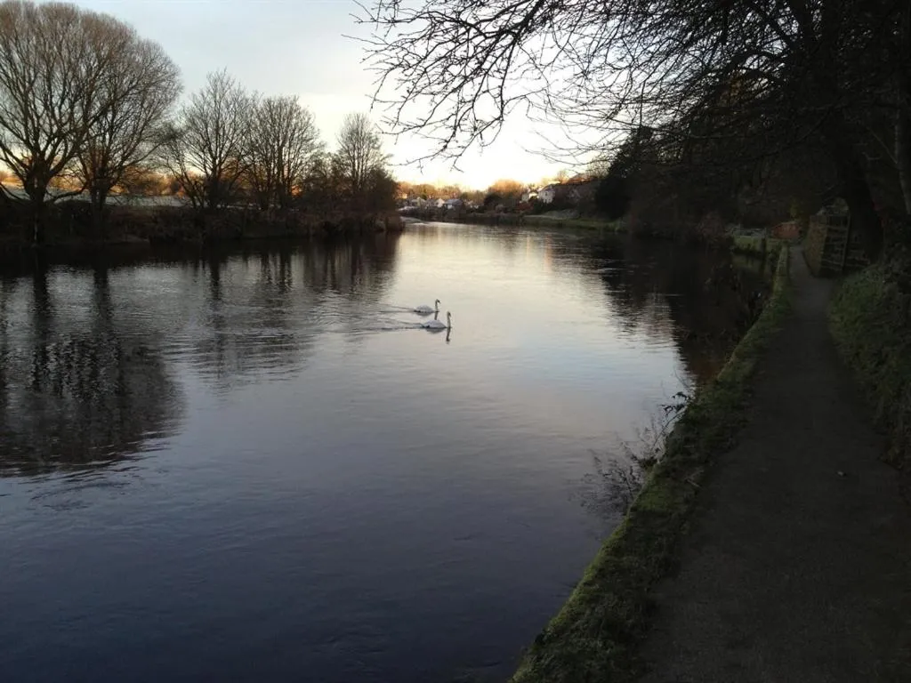 Other in Hamilton House