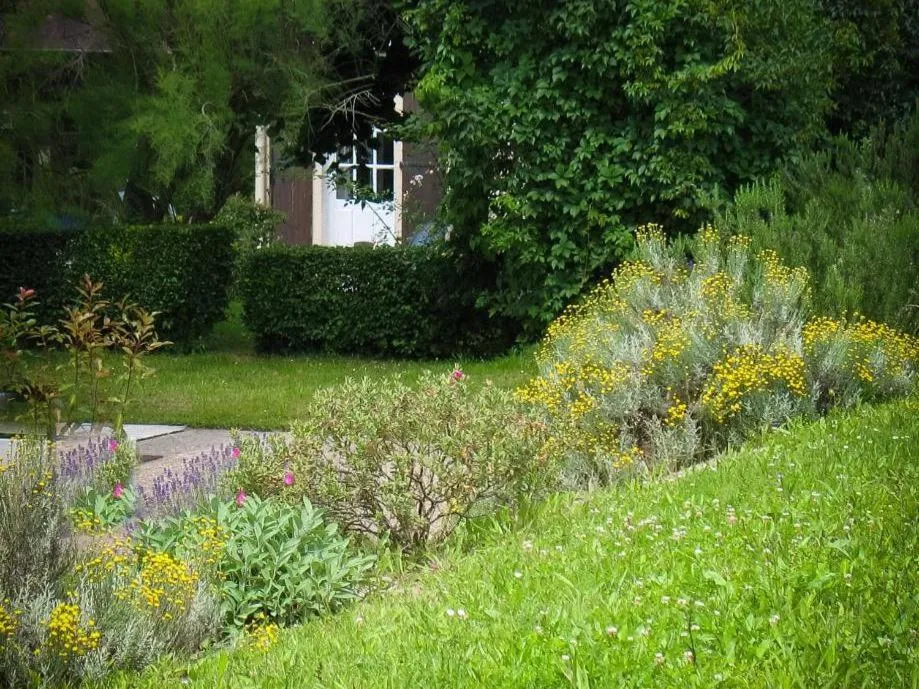 Garden in Hôtel Au Clos Paillé La Roche Posay