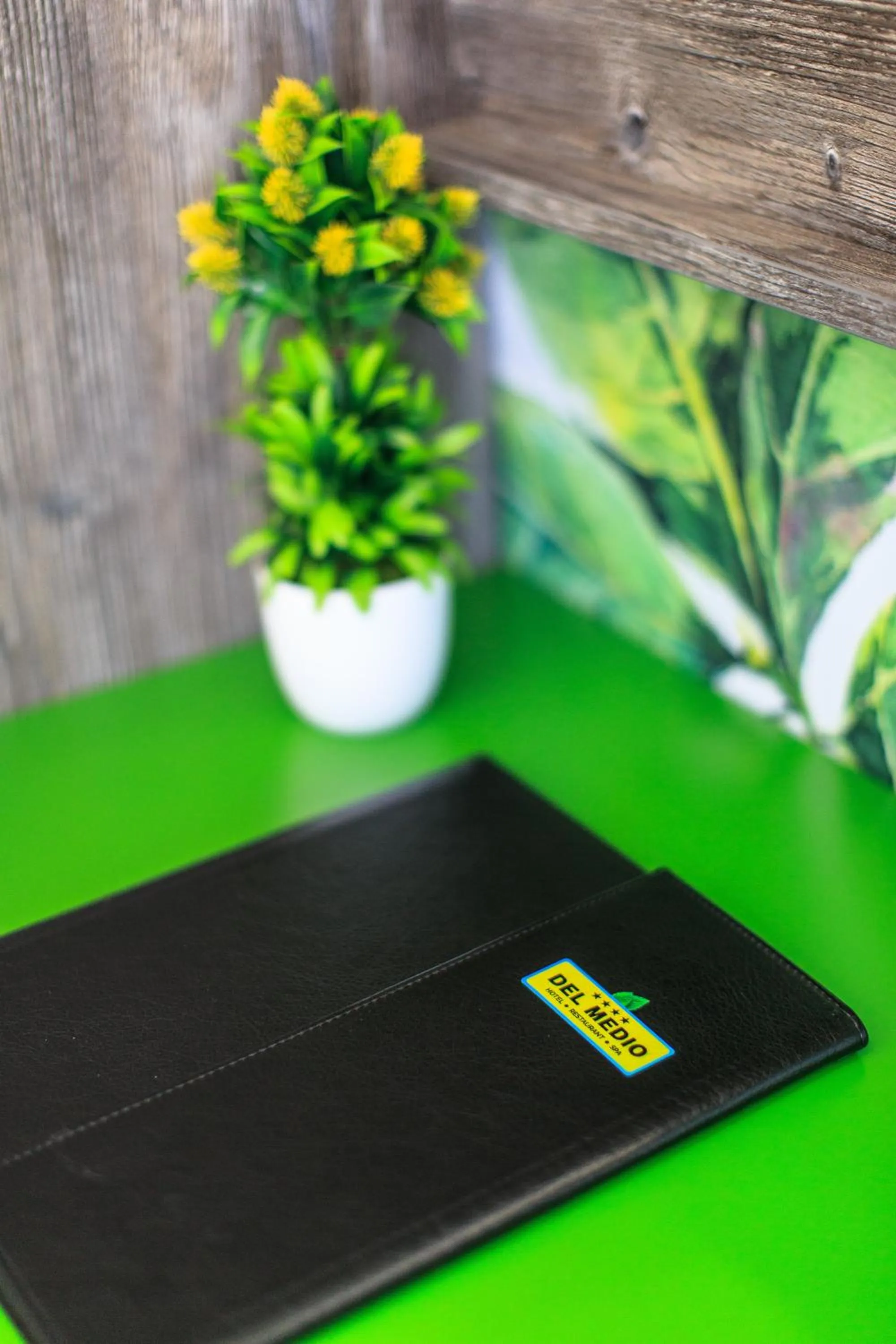 Photo of the whole room in Hotel Del Medio