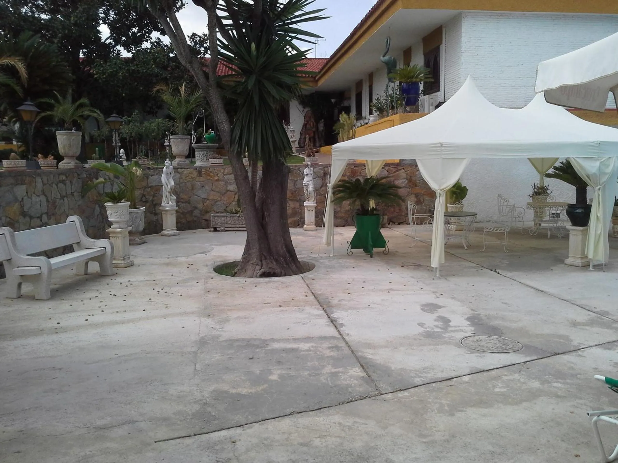 Garden in Hotel Gines