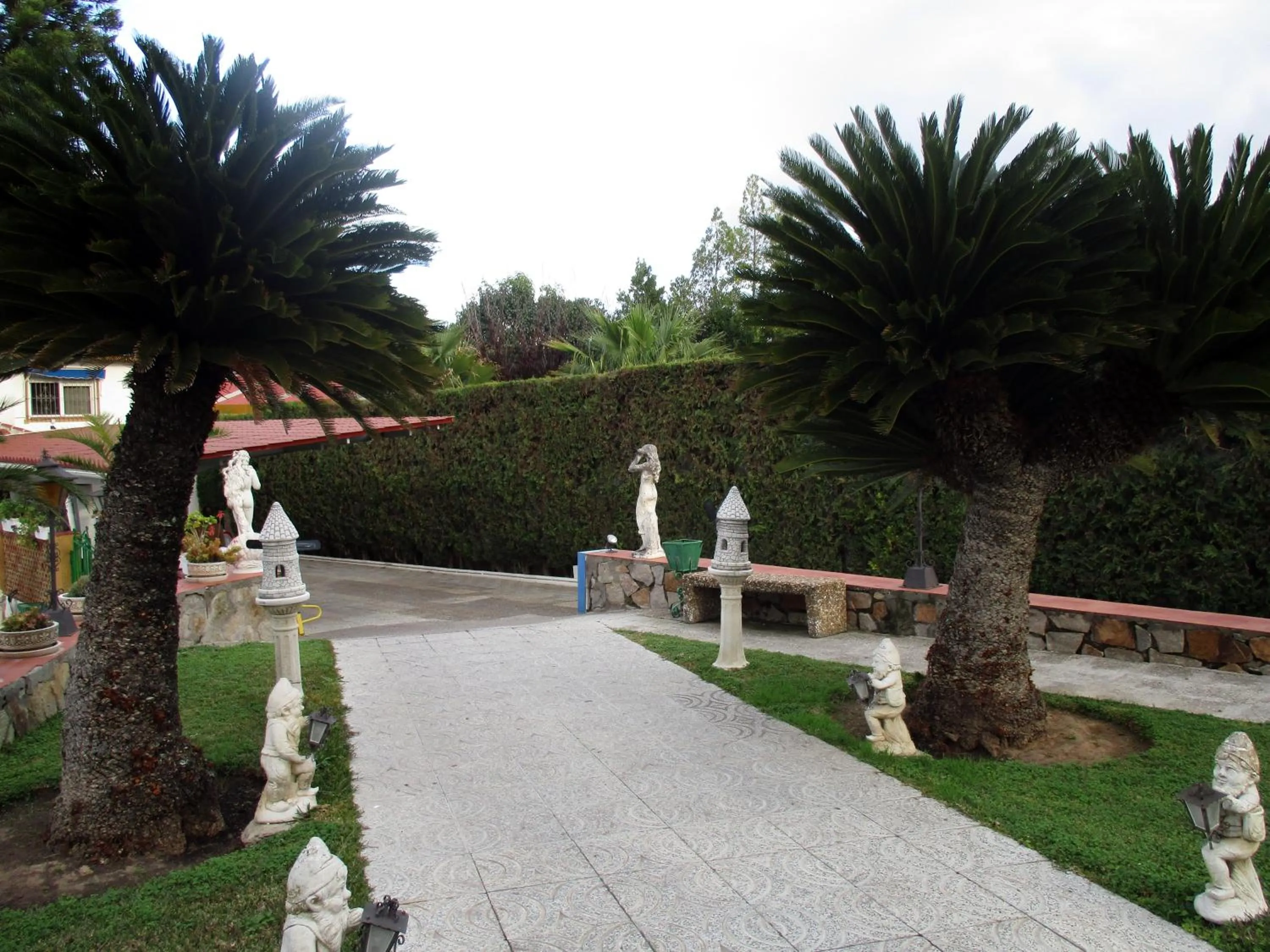 Garden in Hotel Gines