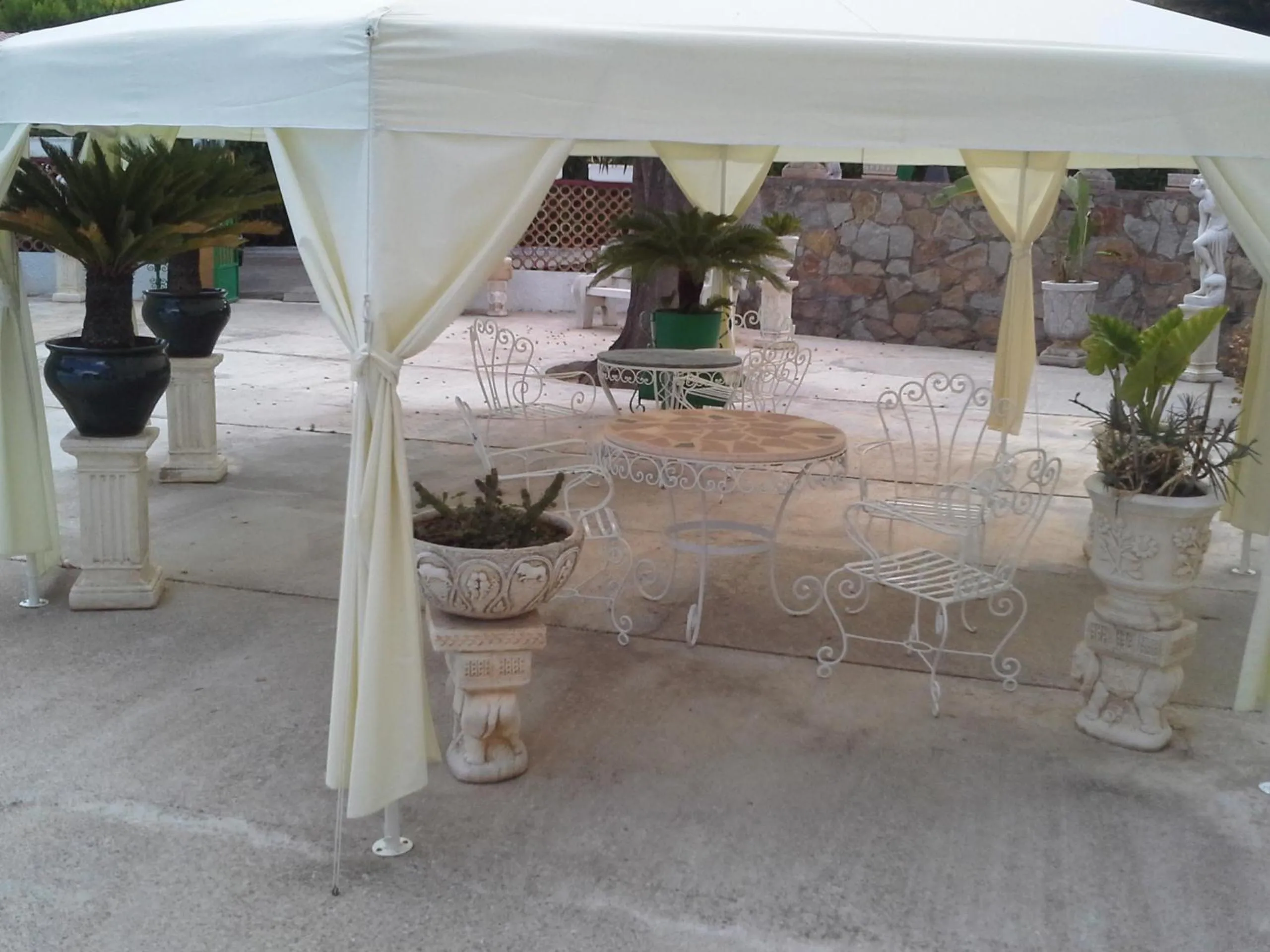 Garden in Hotel Gines