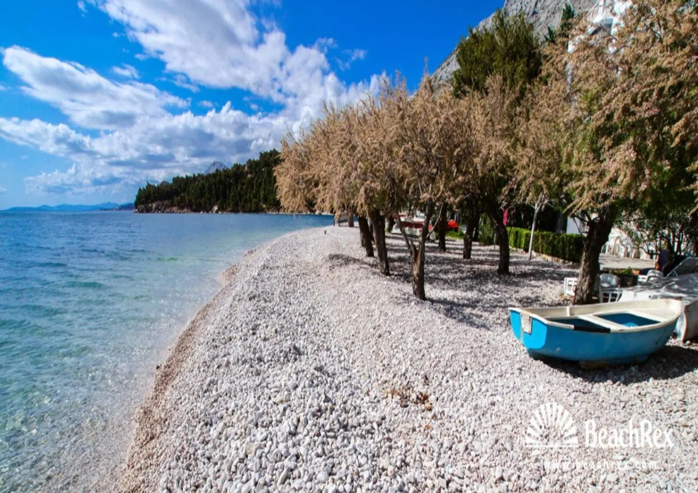 Beach in FBA Family Beach Apartments