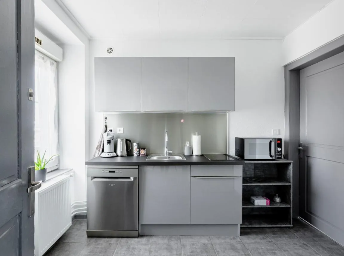 Kitchen or kitchenette in Comfort Stay Basel Airport 1B46