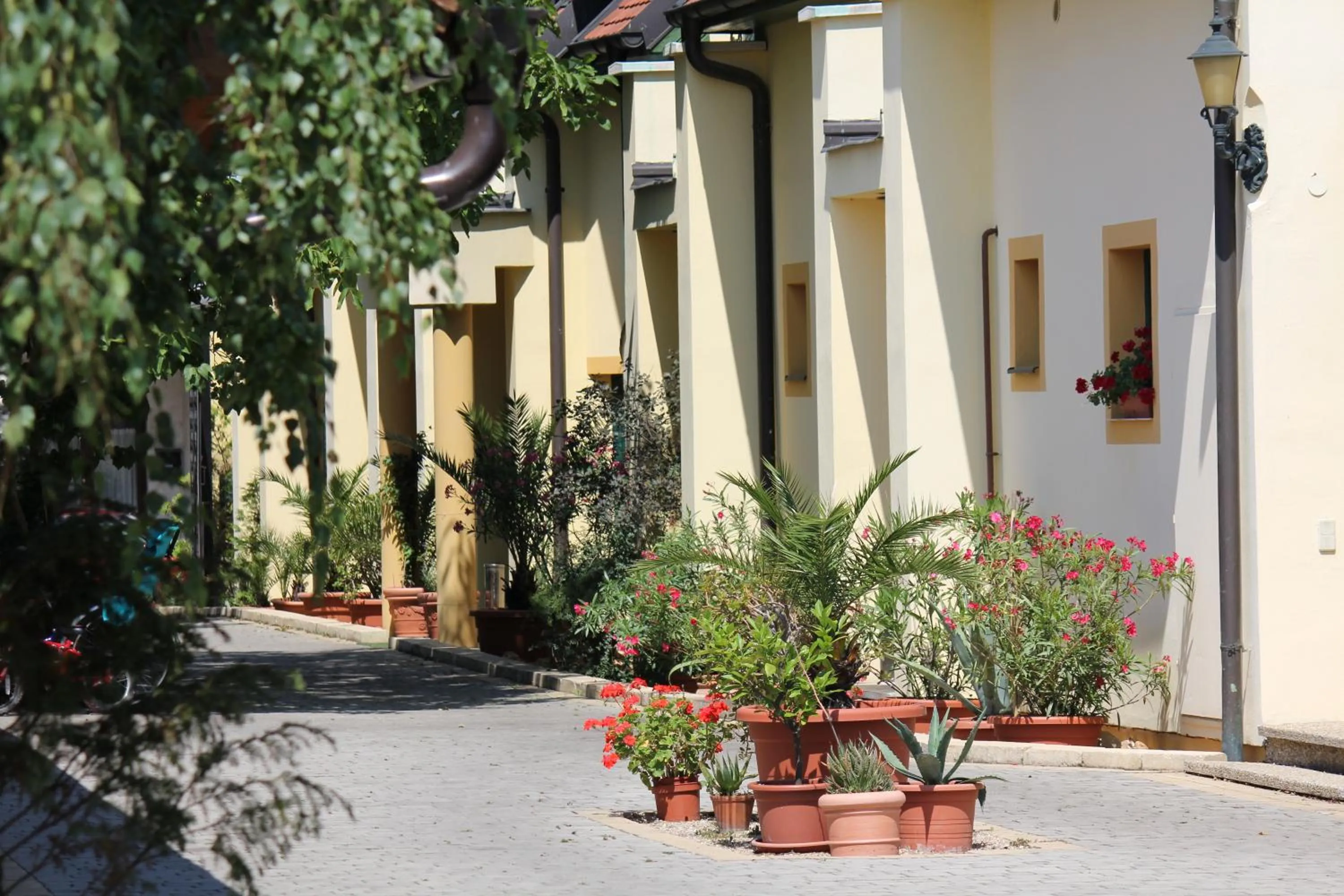 Patio in Levanda Panzió