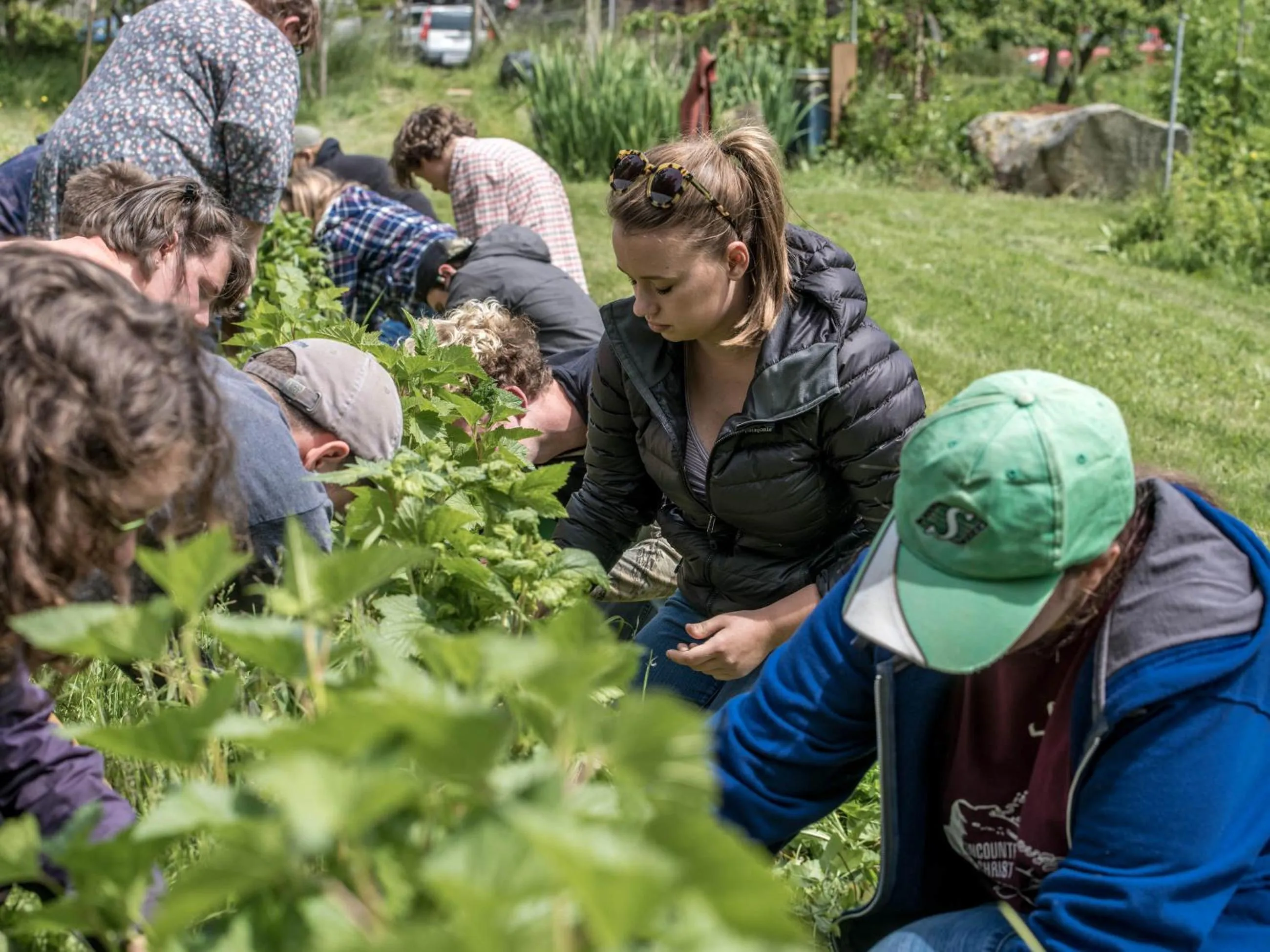 Activities in Nettles Farm